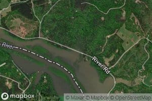 Longnose Creek