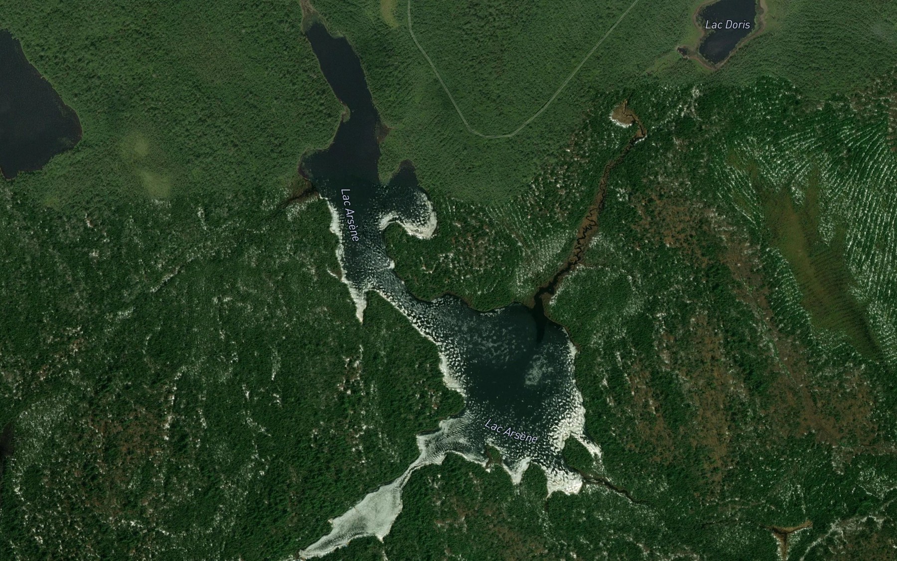 Satellite map of the Lac Arsene
