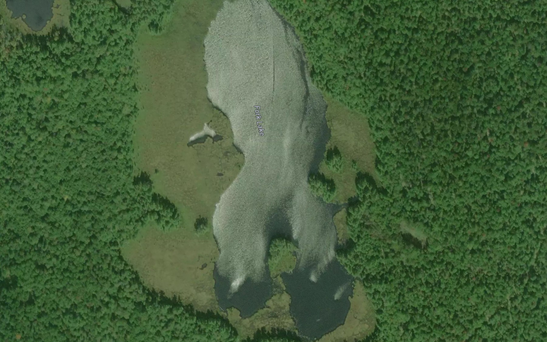 Satellite map of the Fork Lake