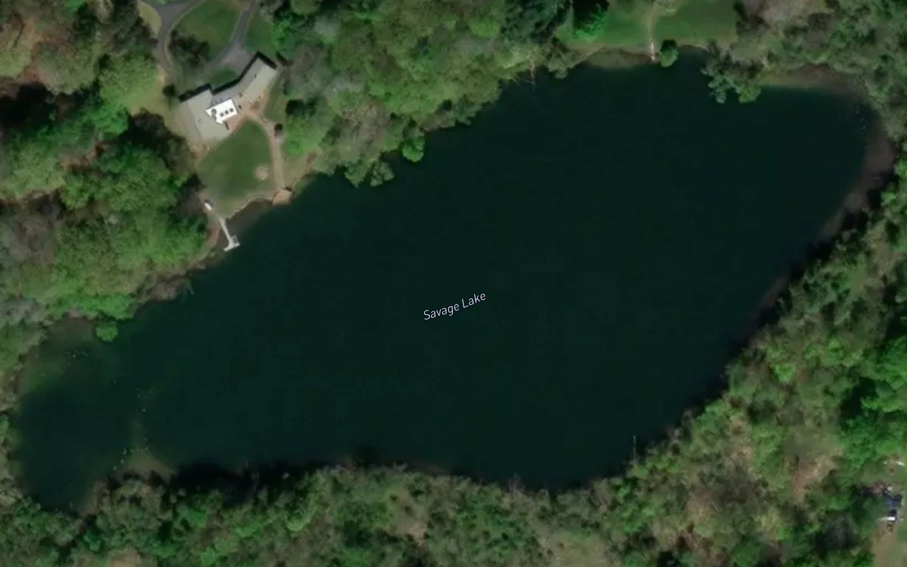 Satellite map of the Savage Lake