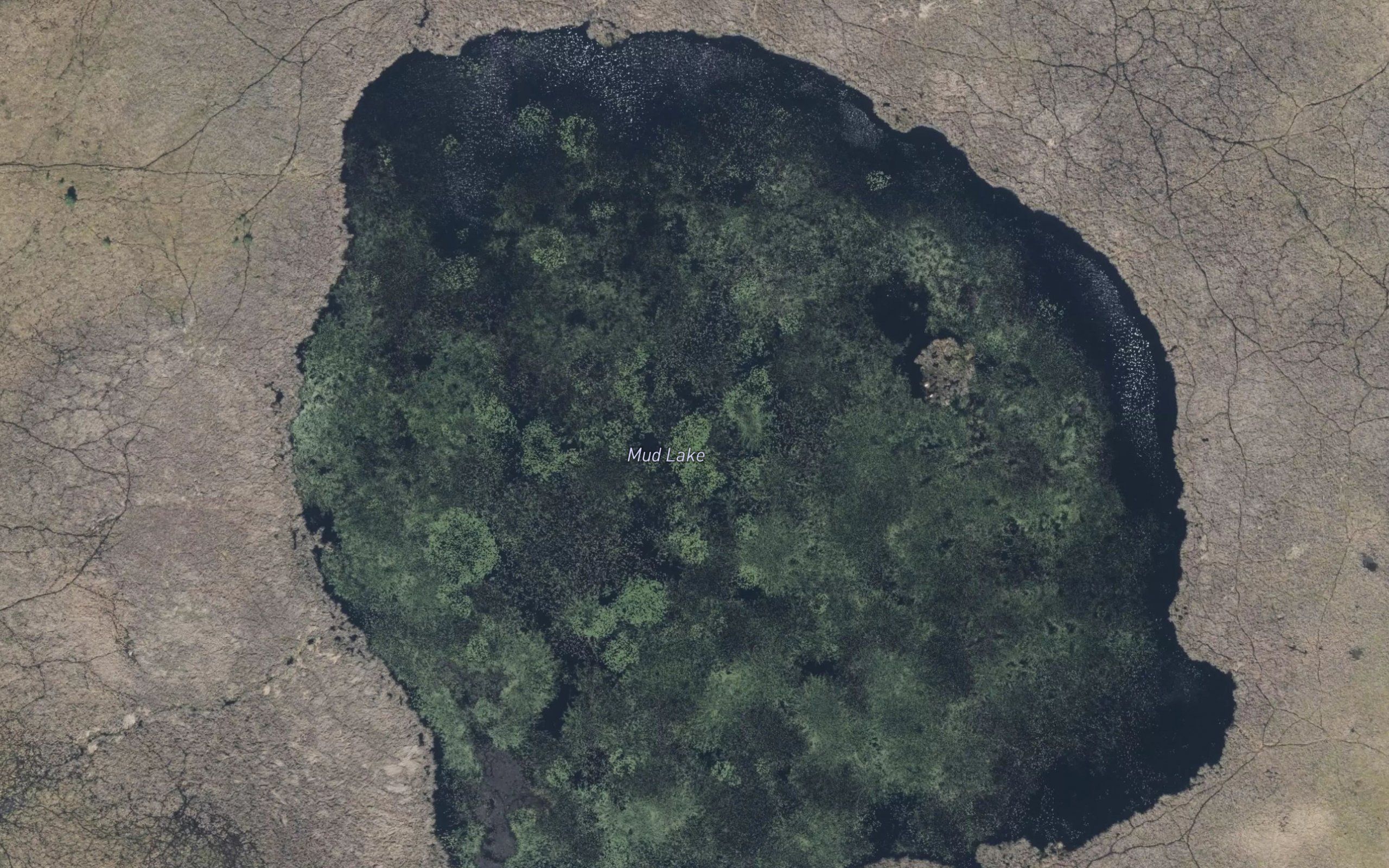 Mud Lake