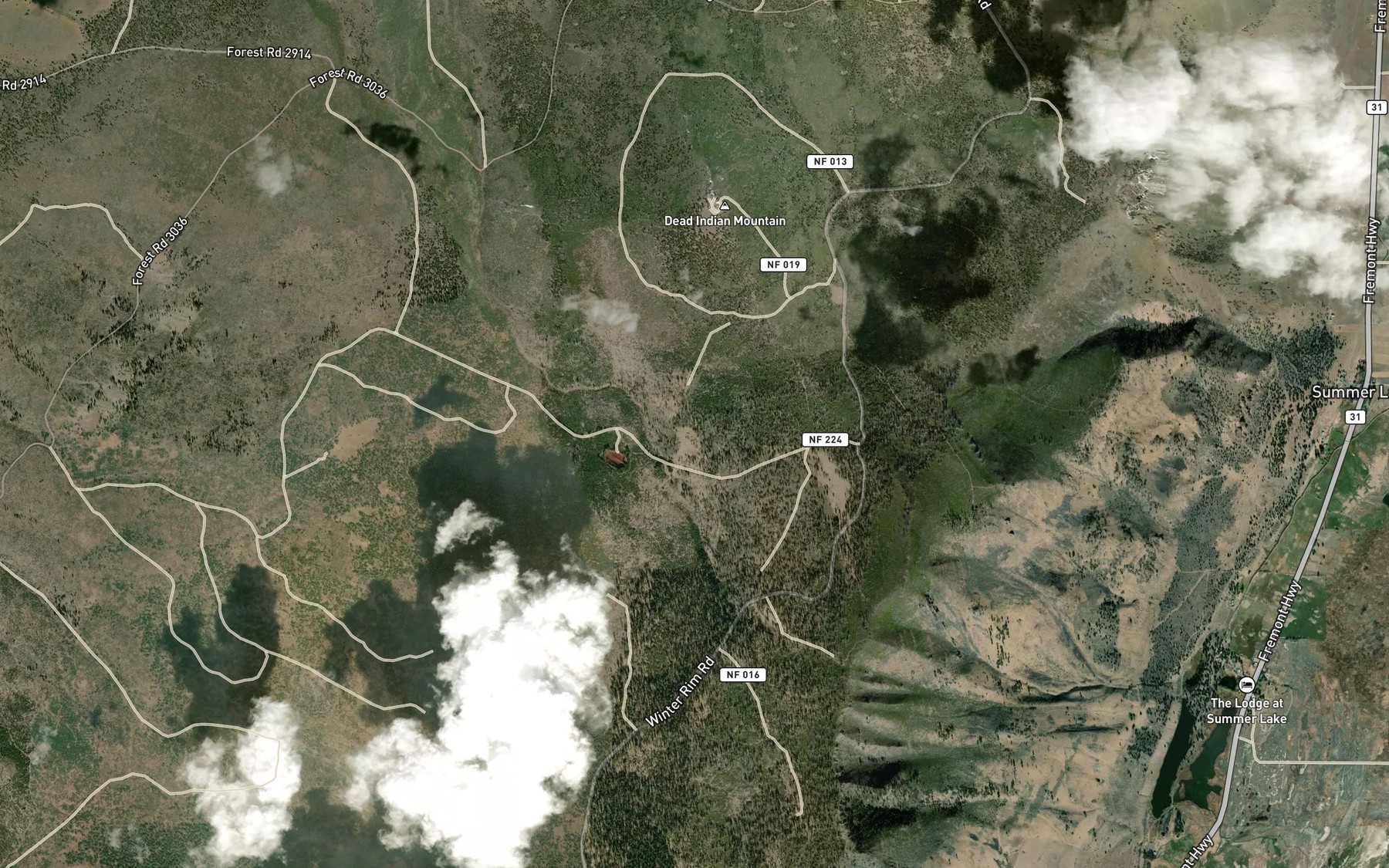 Satellite map of the Lewis Spring