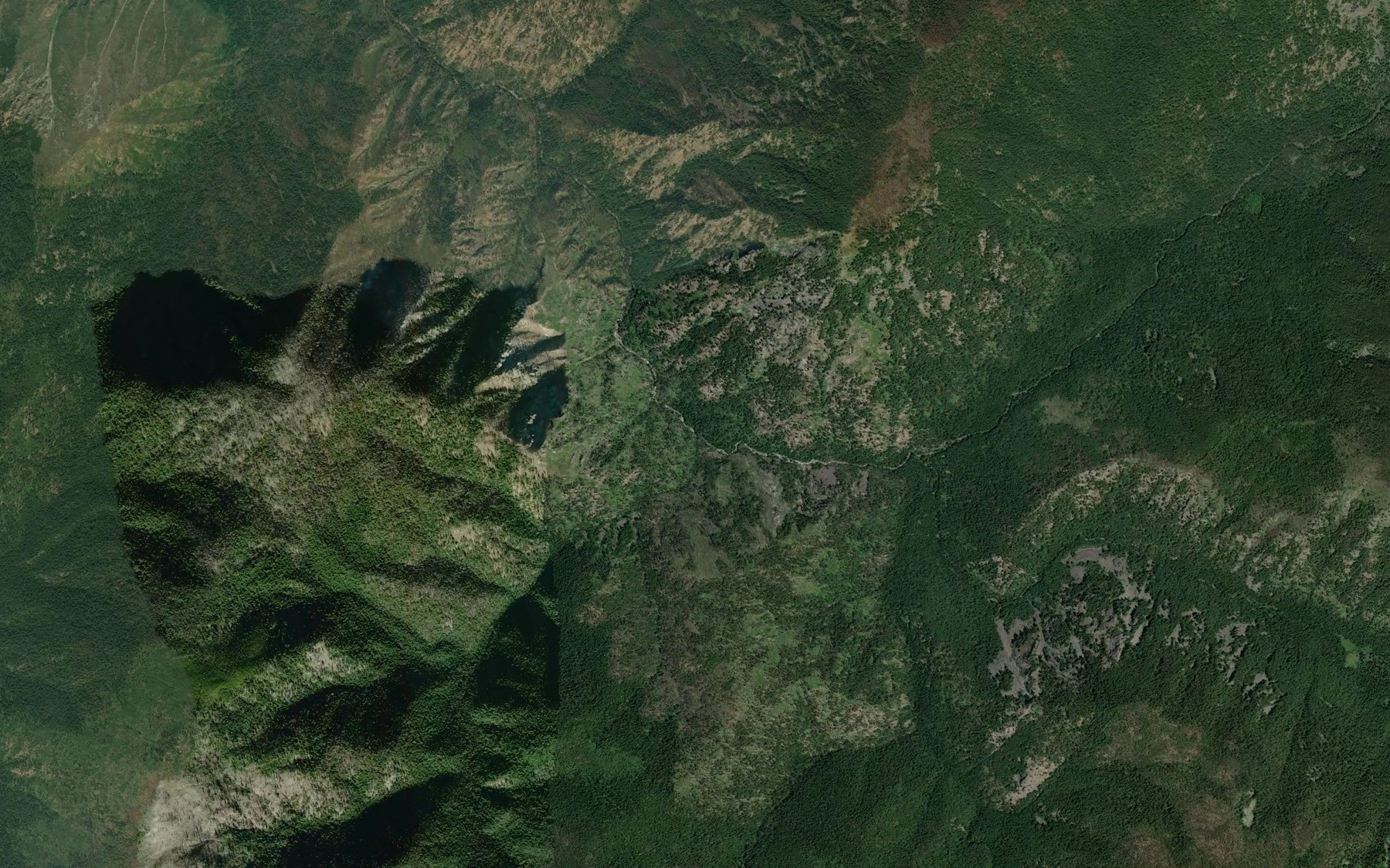 Satellite map of the Gardiner Fork