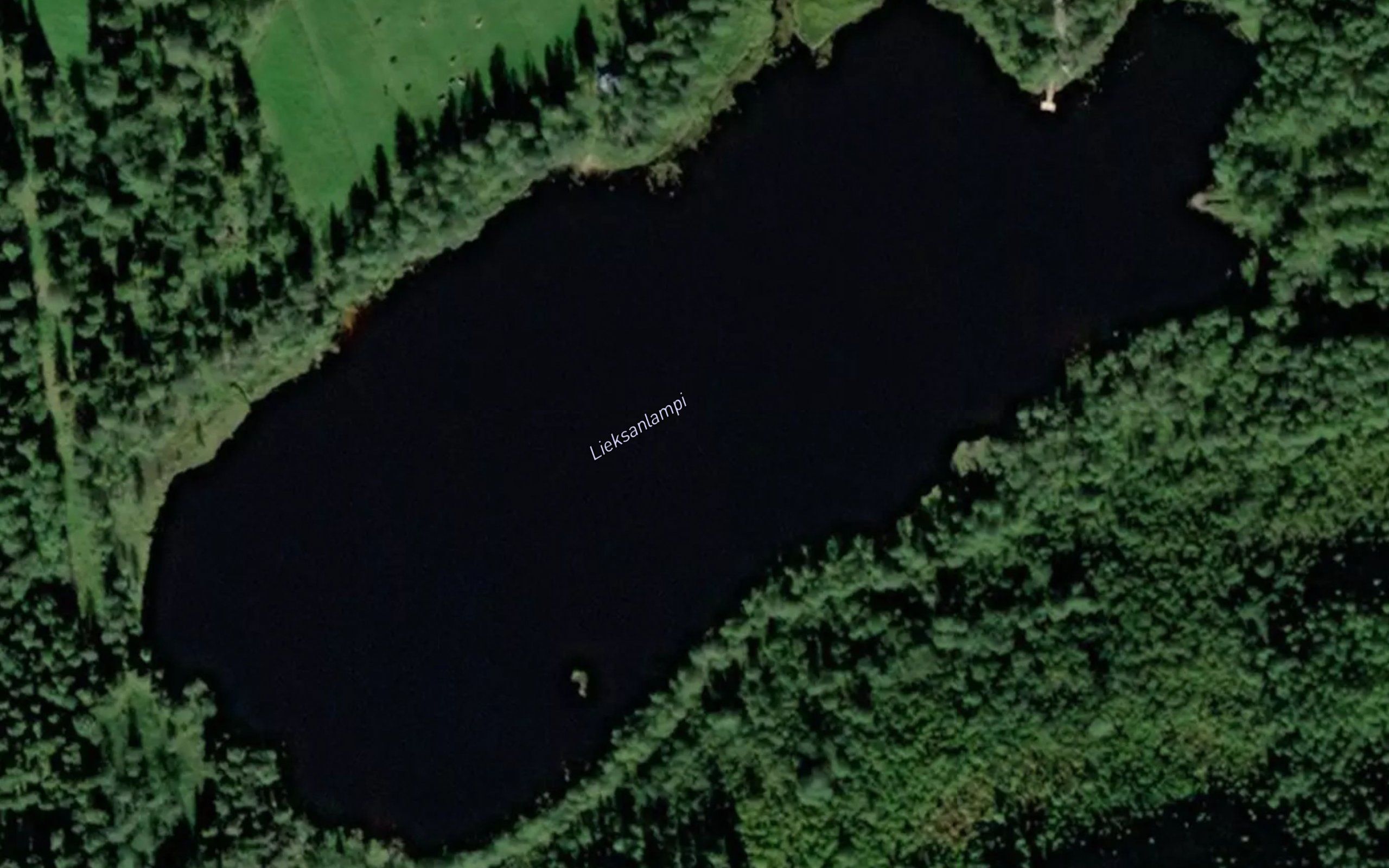 Lieksanlampi