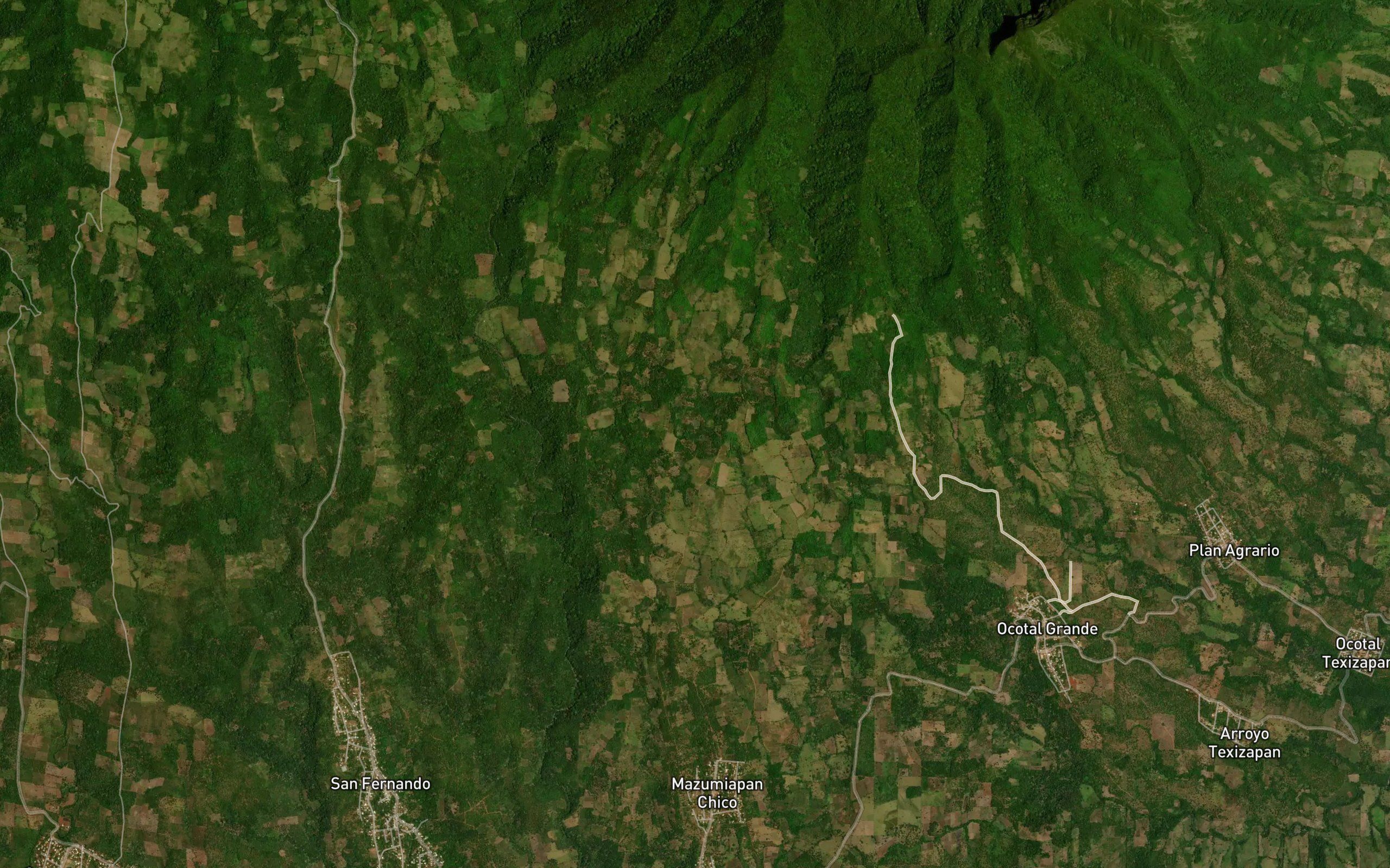 Ceiba