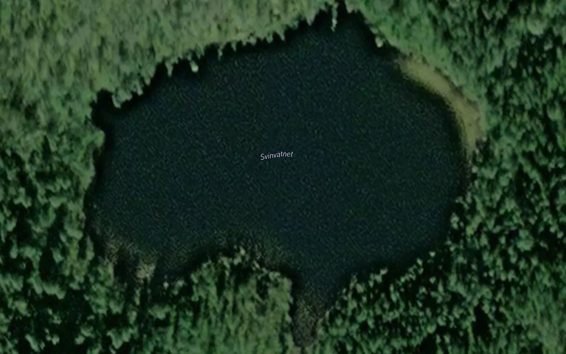 Satellite map of the Svinvatnet