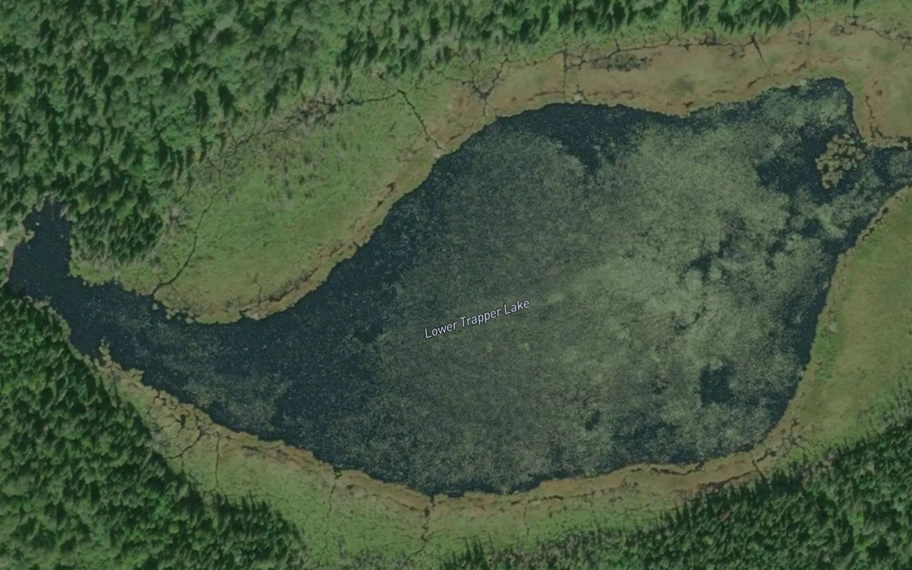 Satellite map of the Lower Trapper Lake