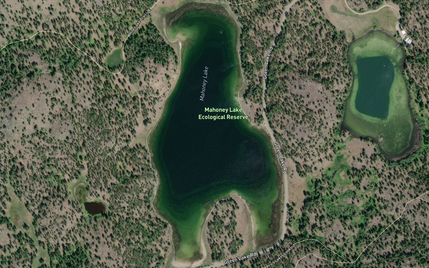 Satellite map of the Mahoney Lake