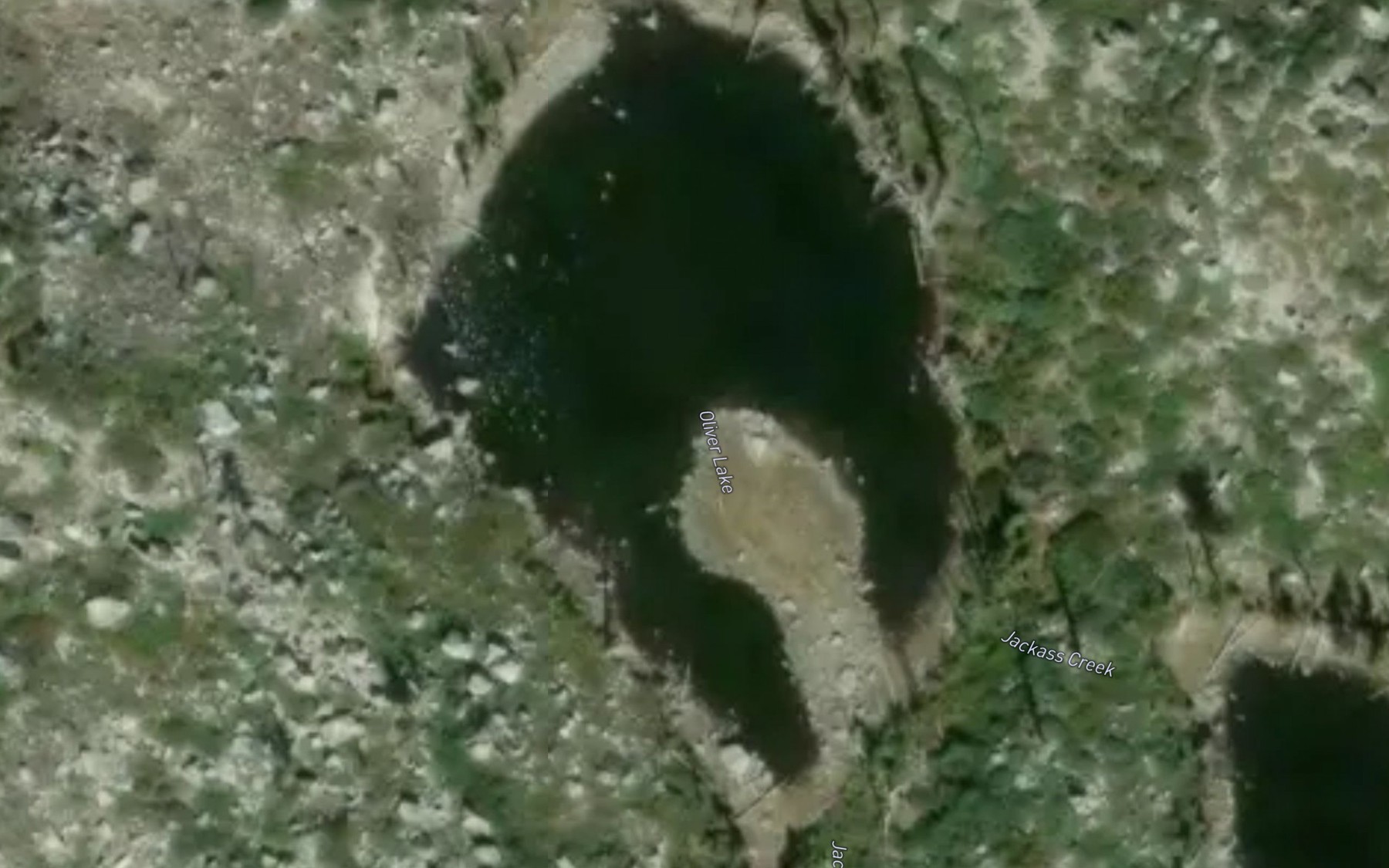 Satellite map of the Oliver Lake