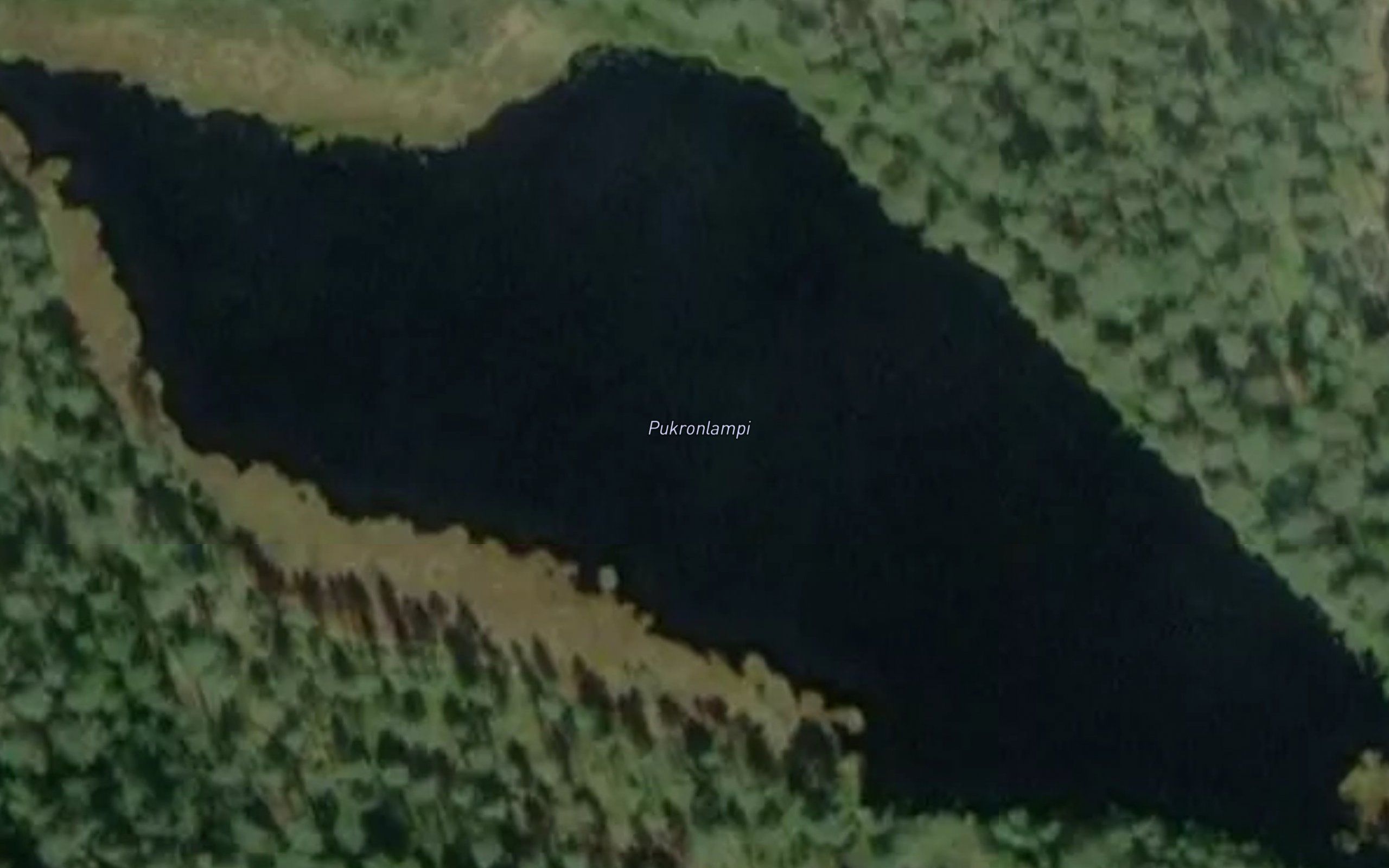 Pukronlampi