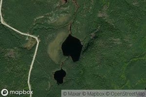 Lac Bee