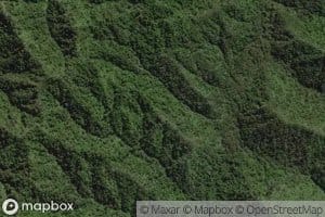 Mangawaiiti East Branch