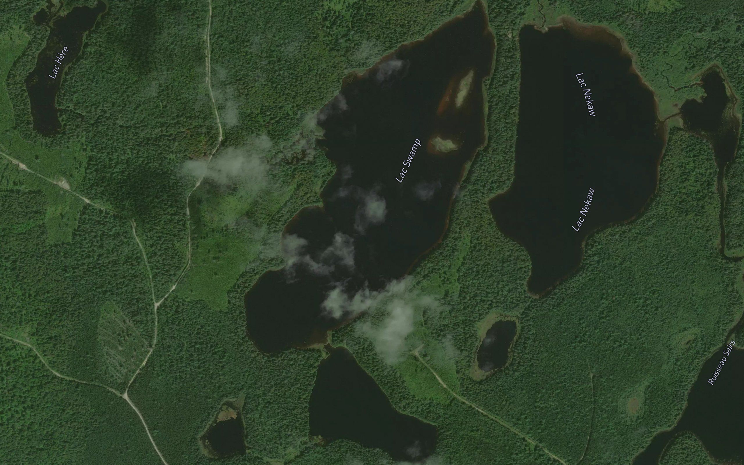Lac Swamp