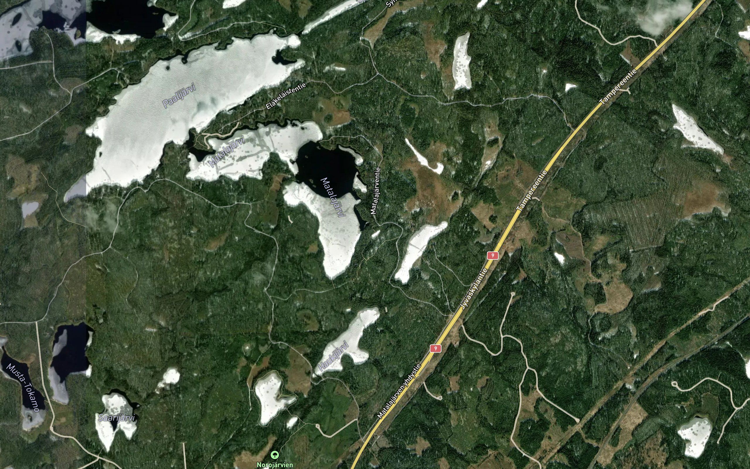 Matalalammi