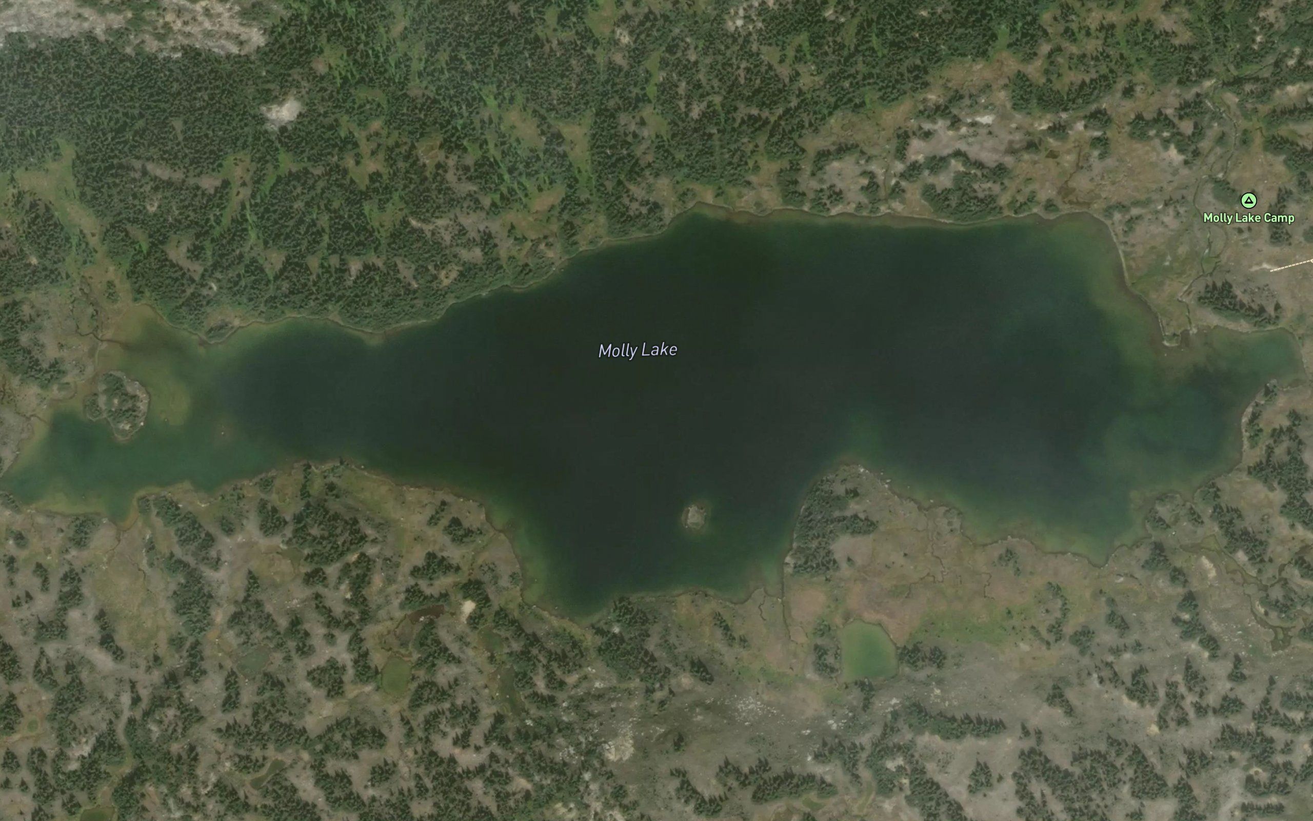 Molly Lake