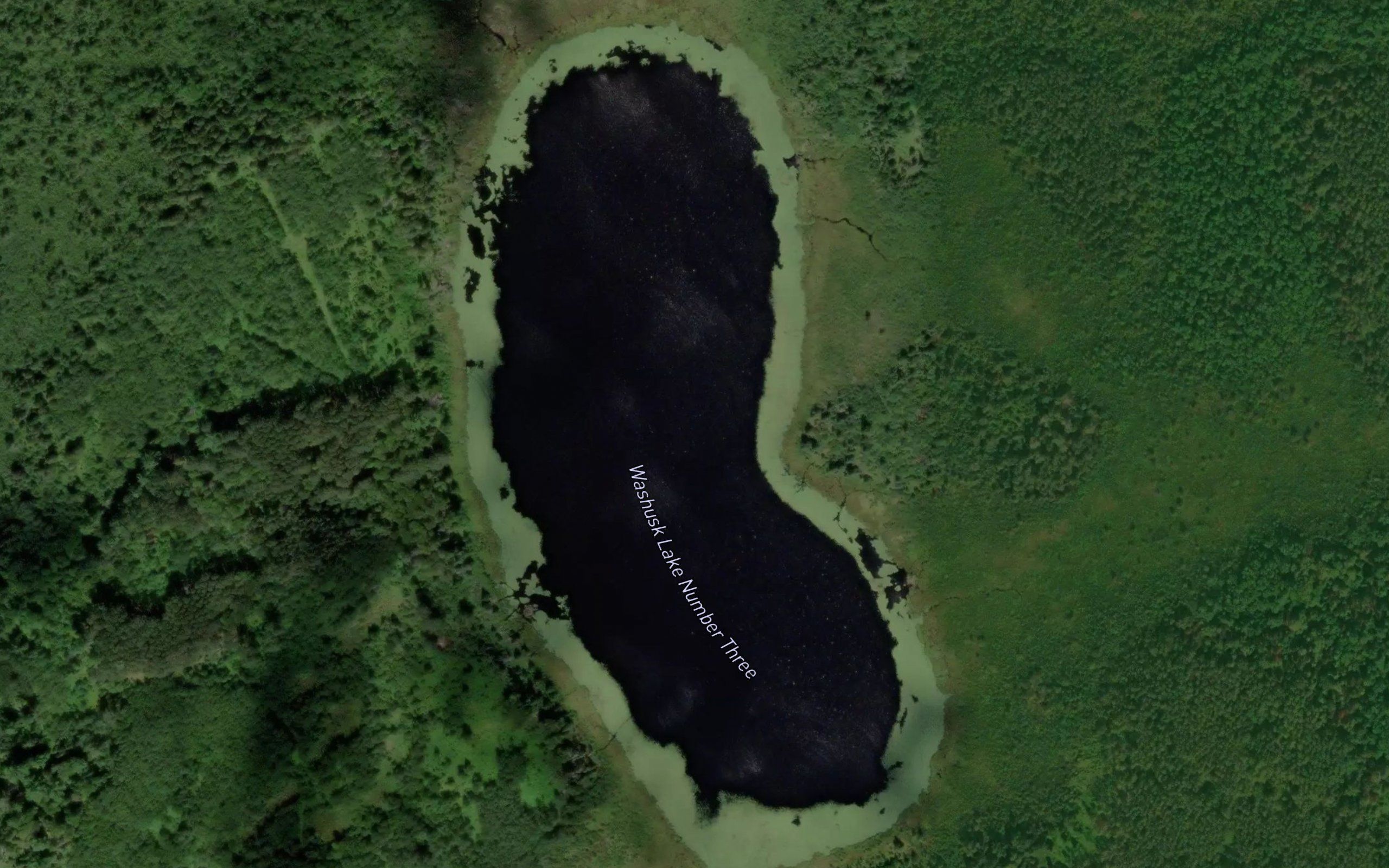 Washusk Lake Number Three