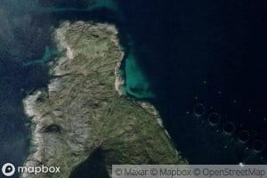 Fiskenesvika