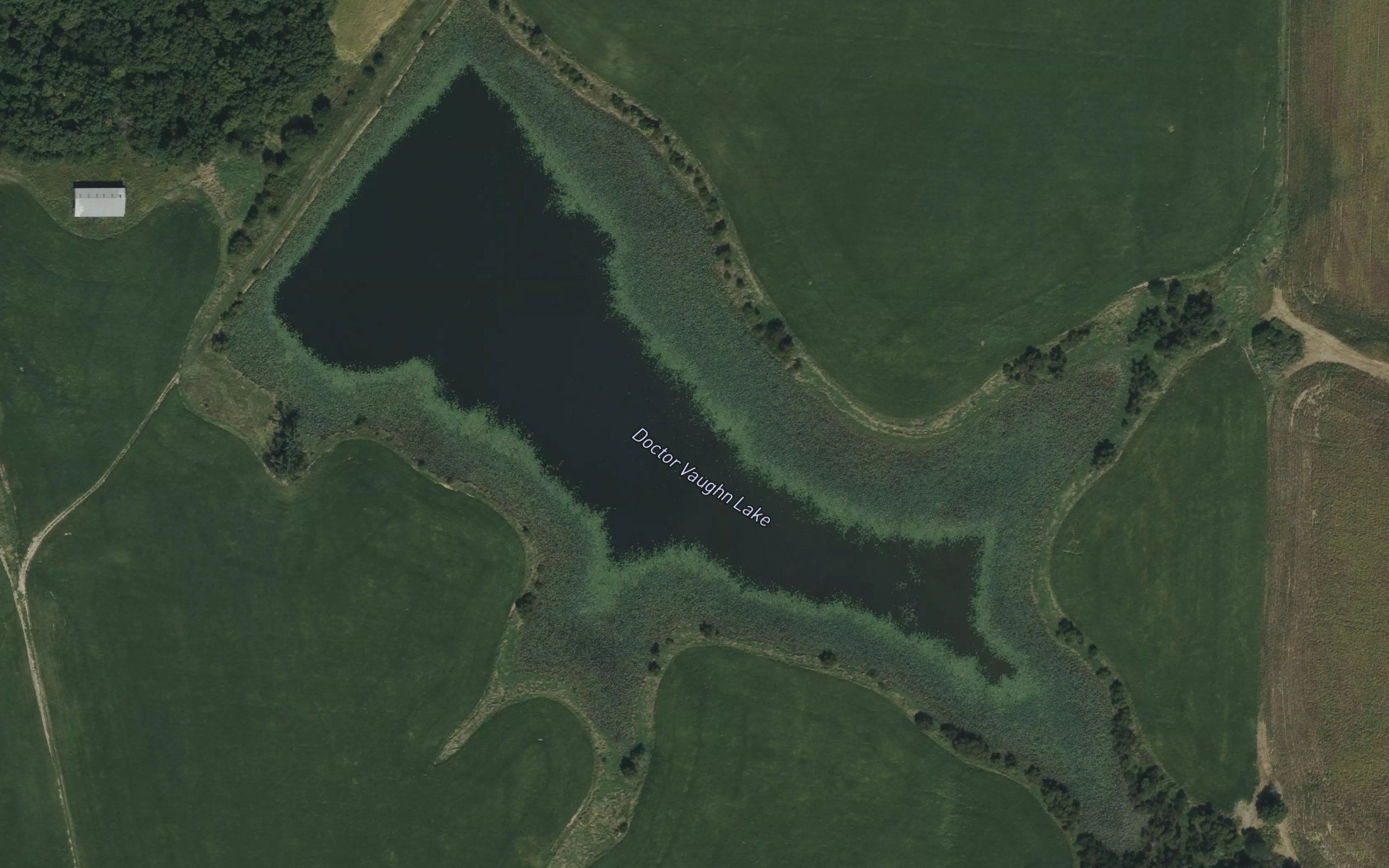 Doctor Vaughn Lake