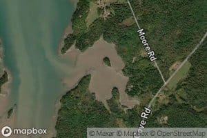 Timber Cove
