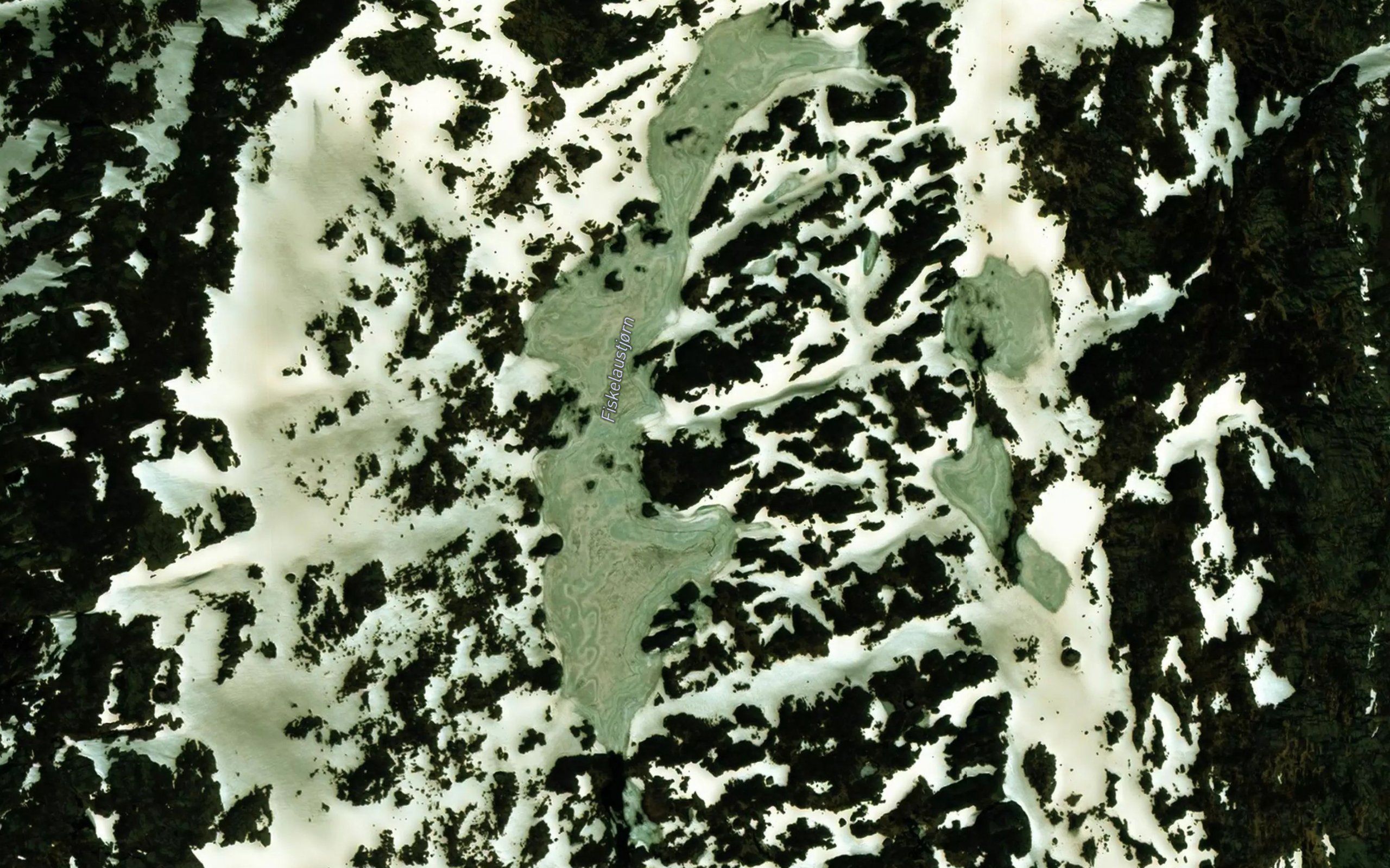 Fiskeloystjorni