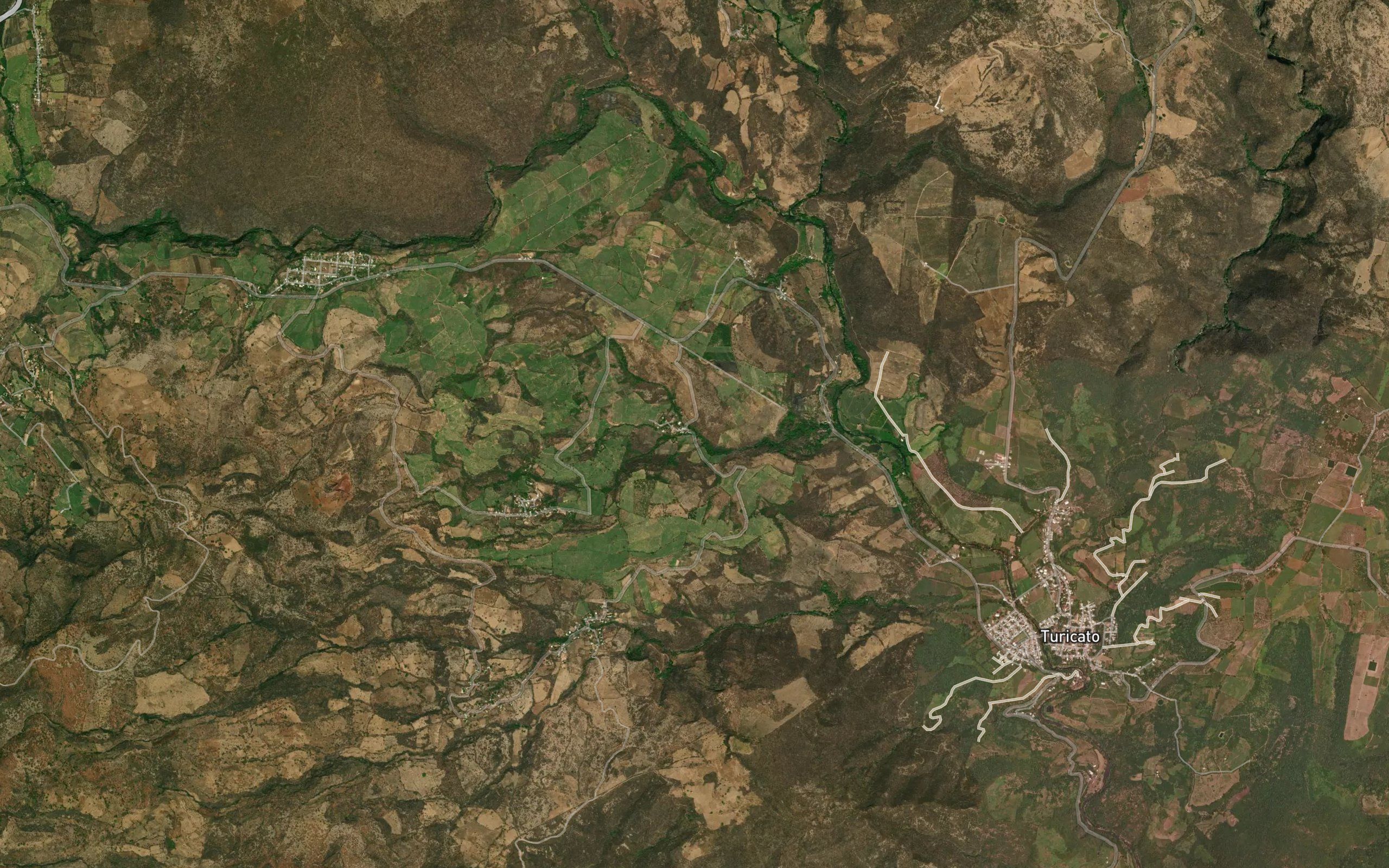 El Carrizalillo