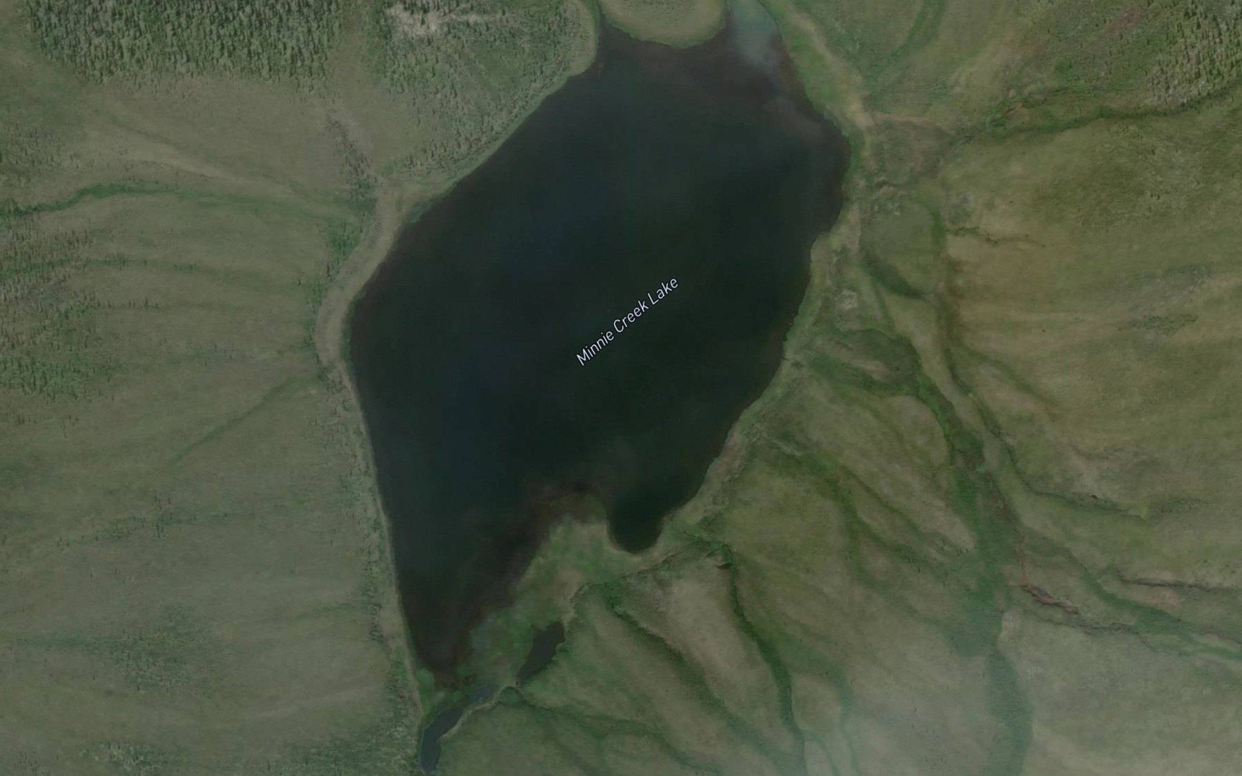 Satellite map of the Minnie Creek Lake