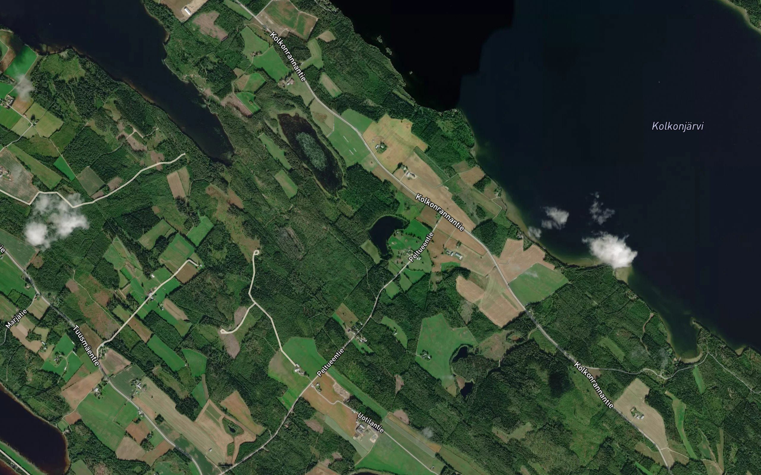 Kaasilanlampi