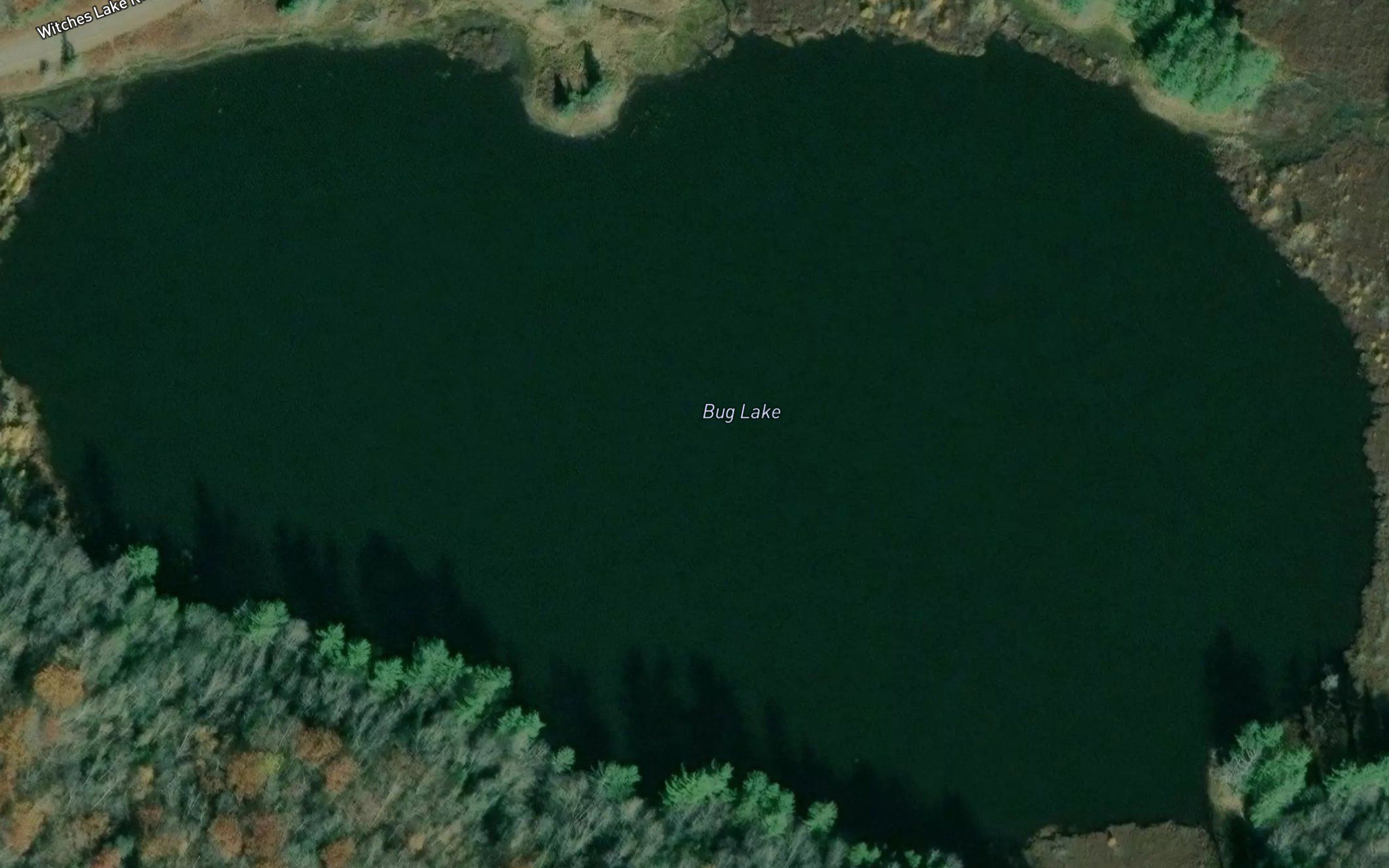 Bug Lake