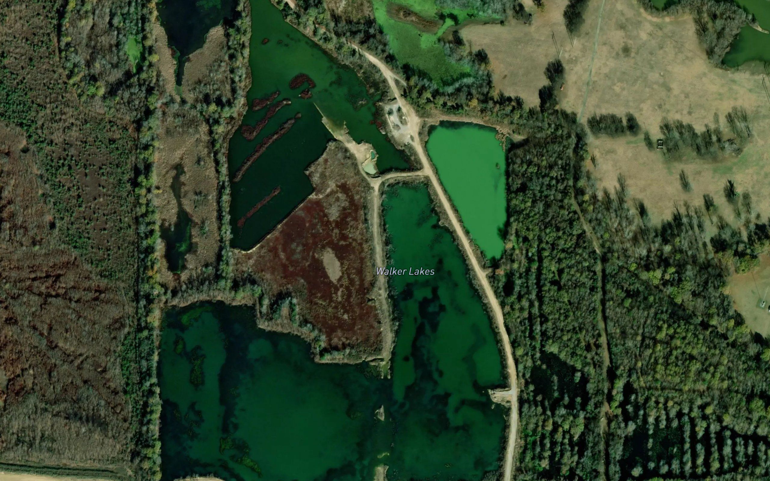 Walker Lakes