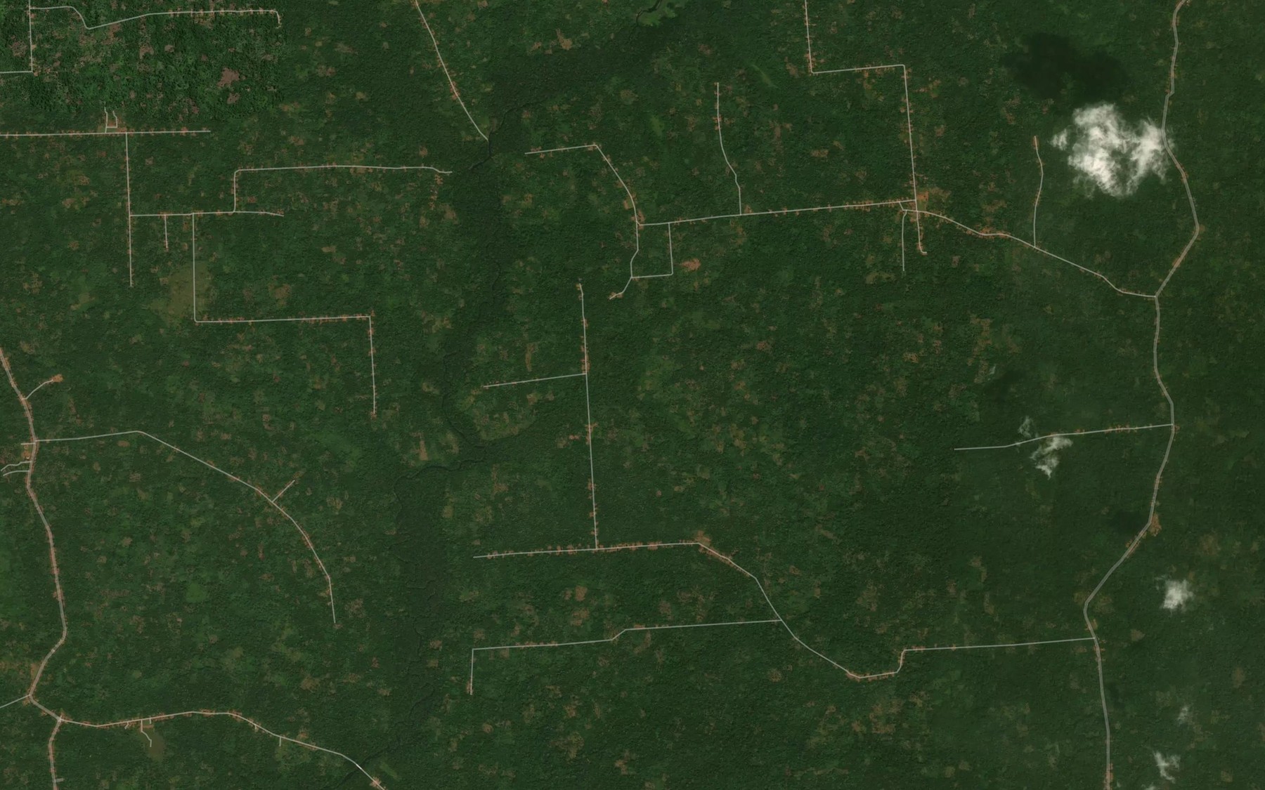 Satellite map of the Mbungu