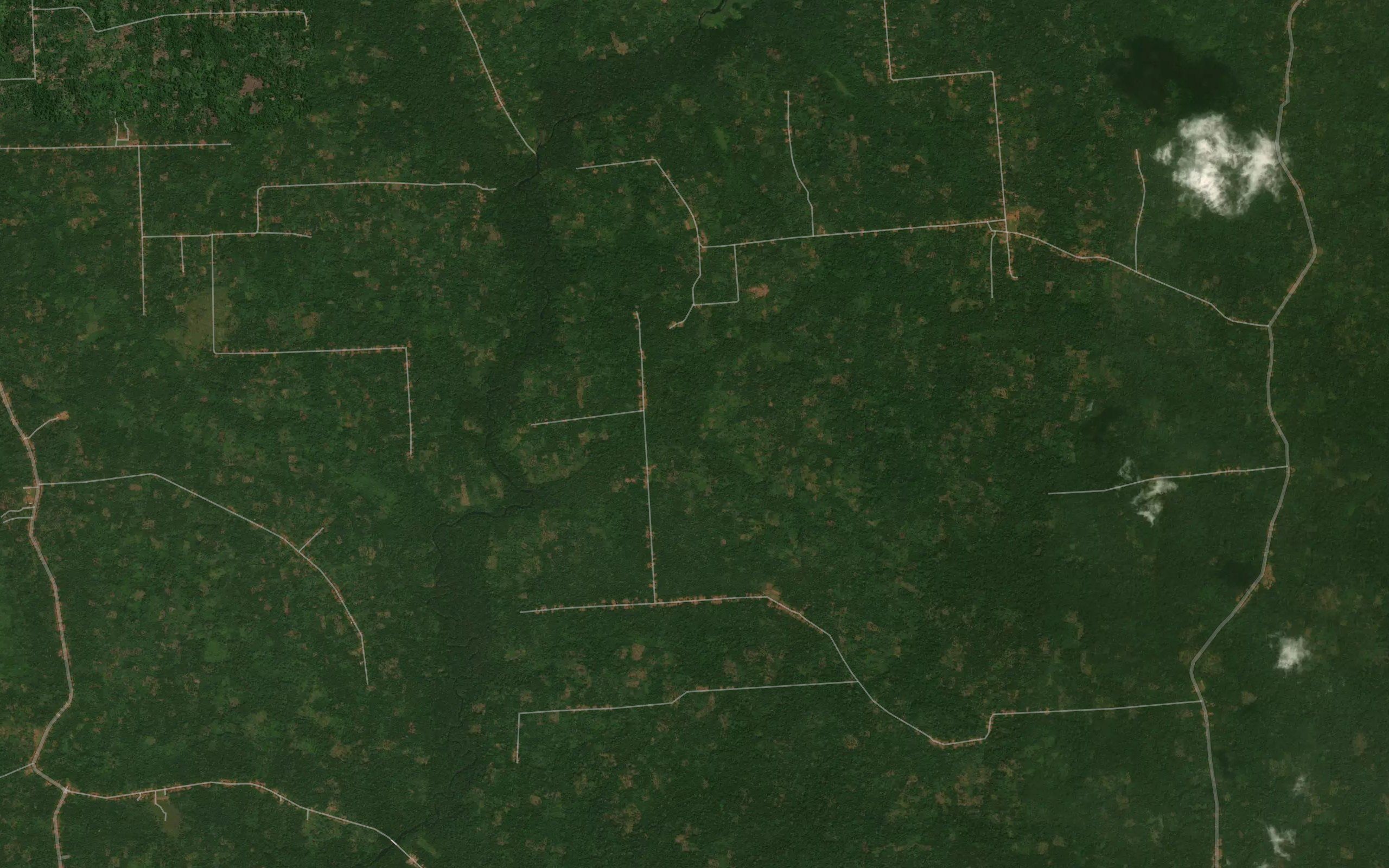 Mbungu