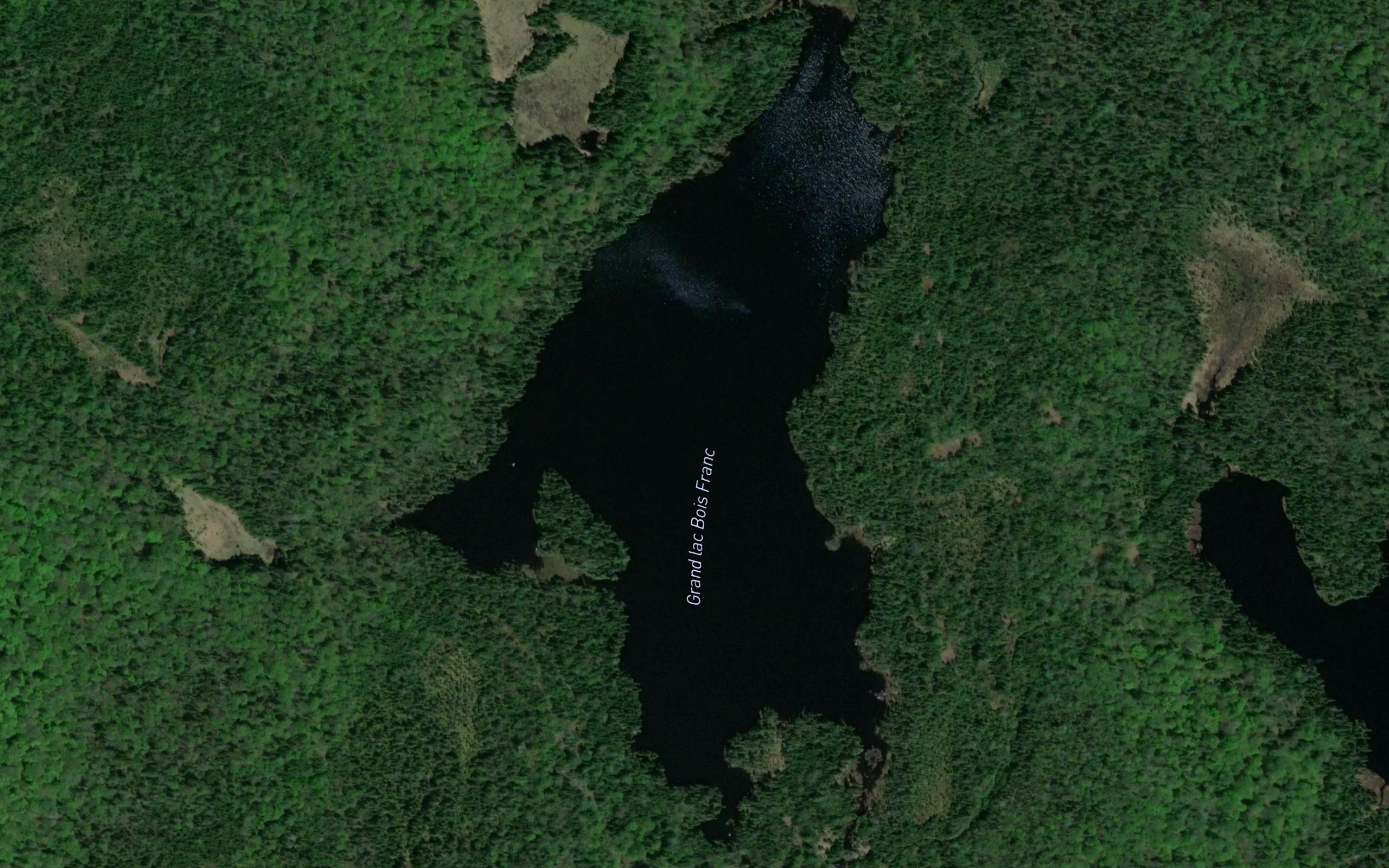 Grand lac Bois Franc