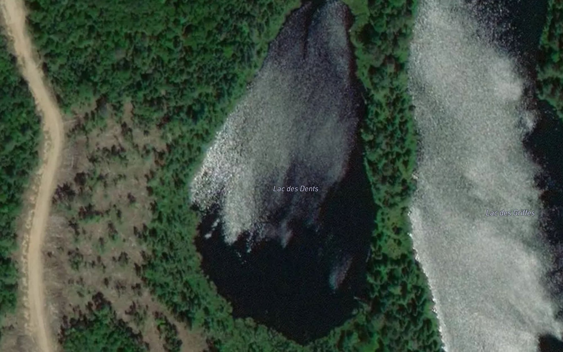 Satellite map of the Lac des Dents