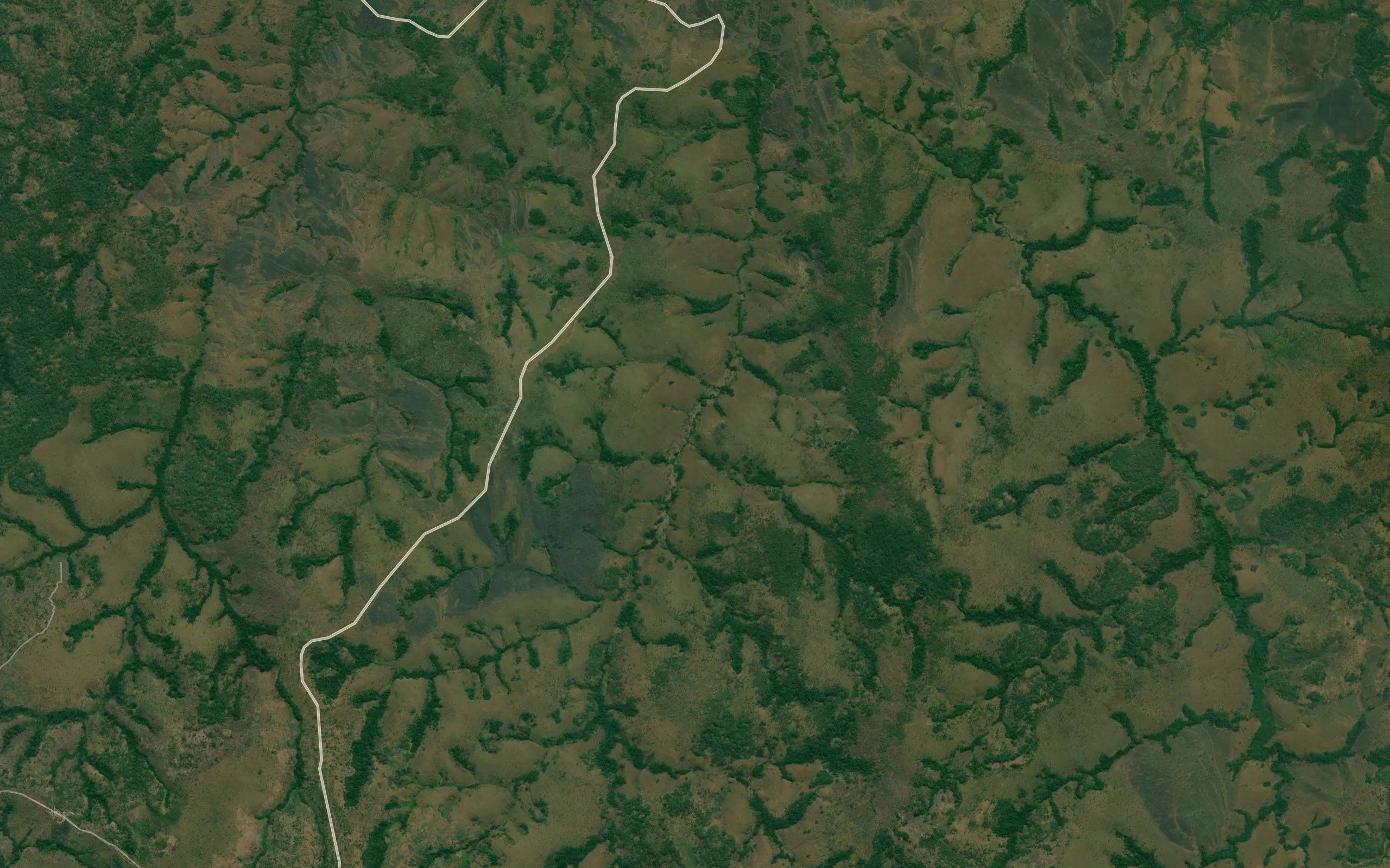 Cambongi