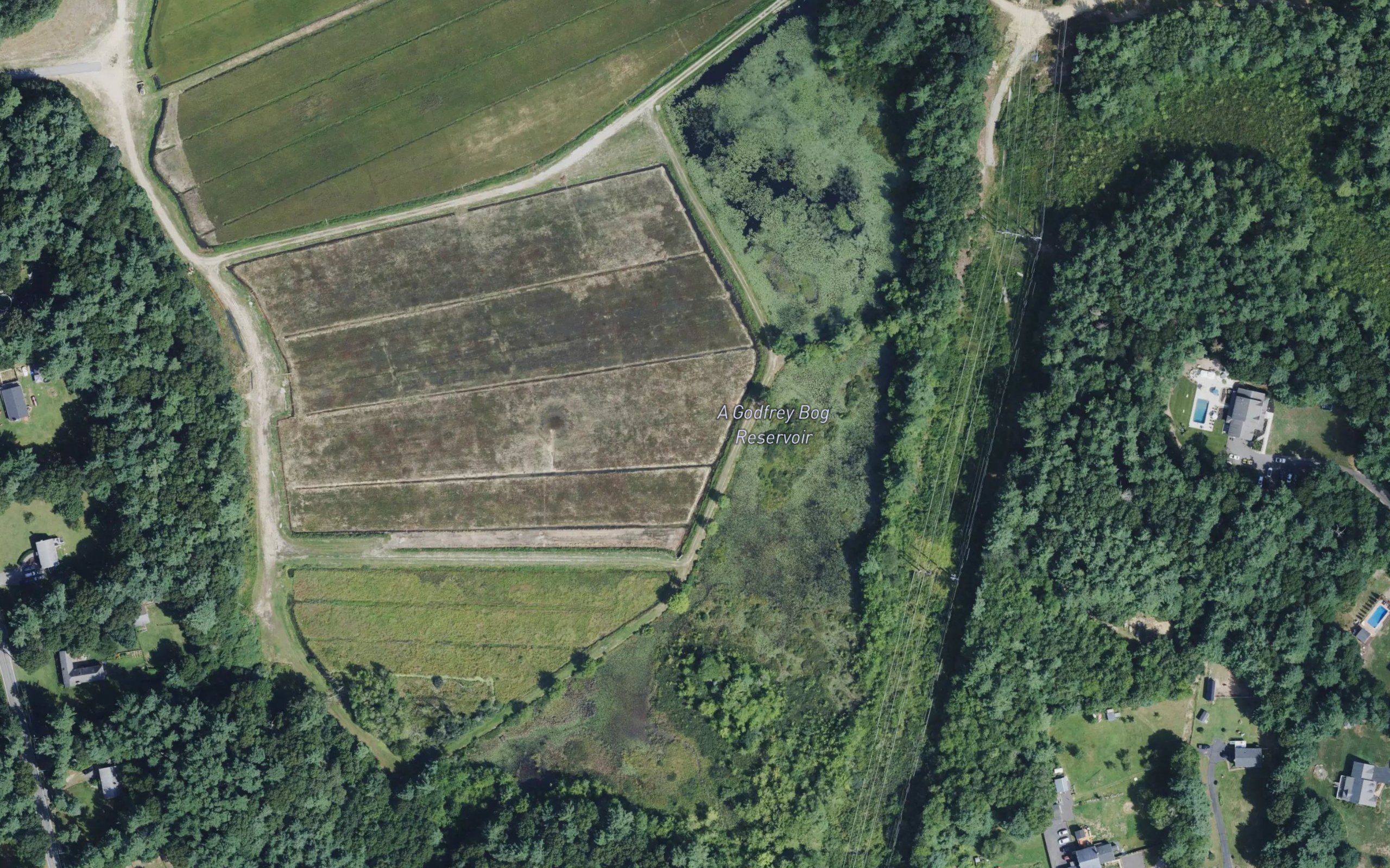 A Godfrey Bog Reservoir