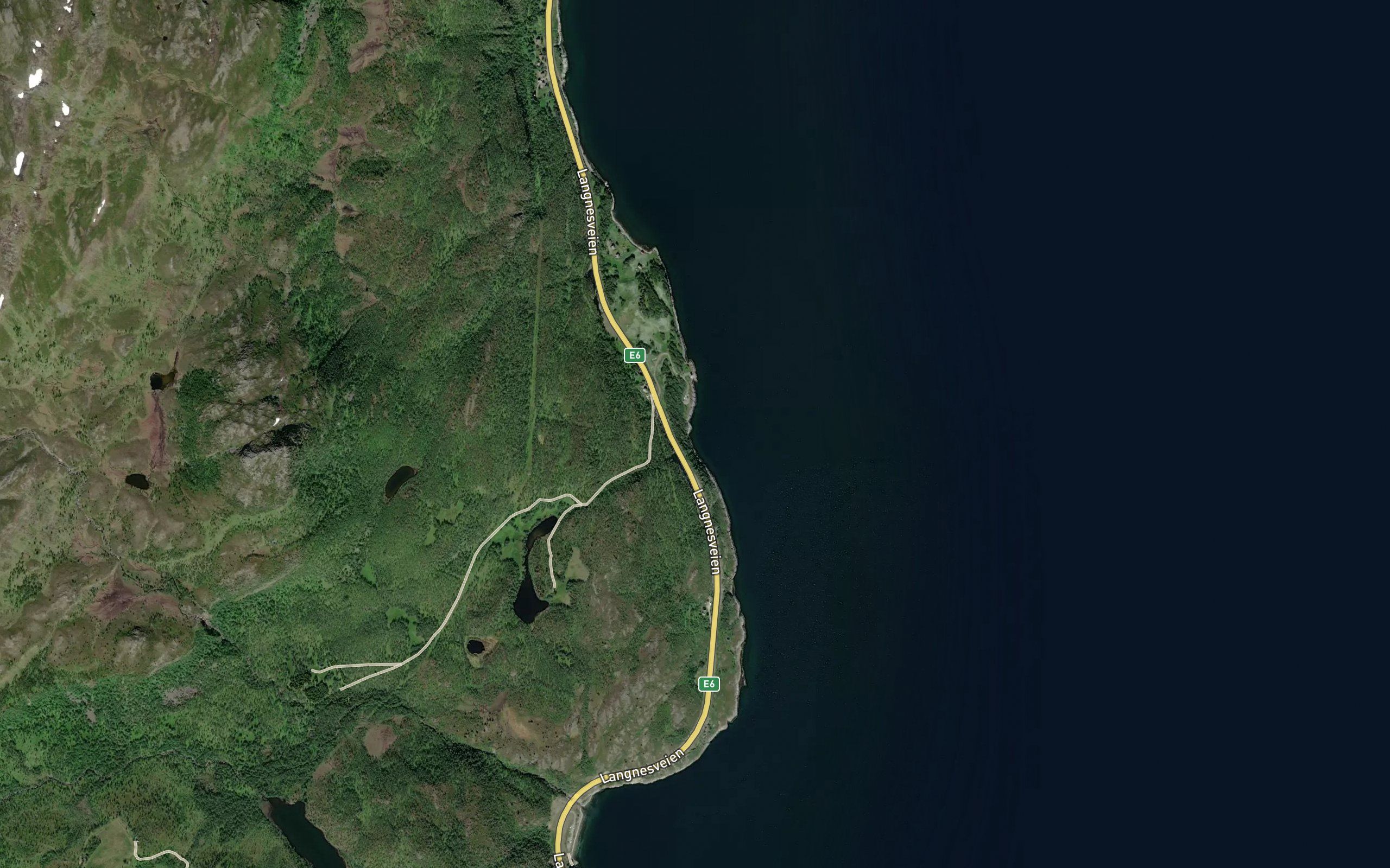 Krakvika
