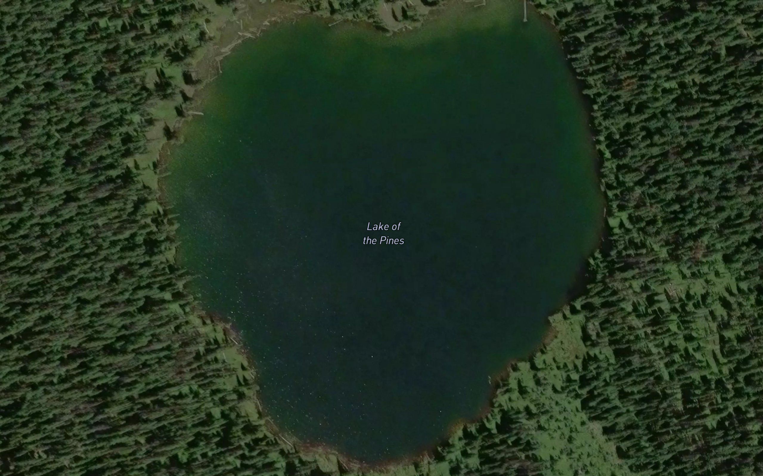 Lake of the Pines