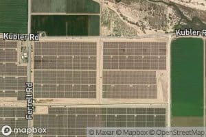 Wistaria Lateral Three