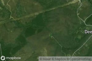 Henson Creek
