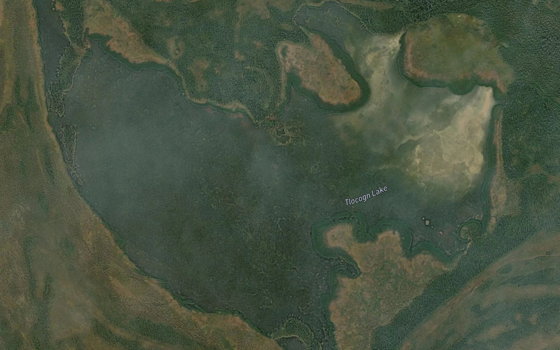 Satellite map of the Tlocogn Lake