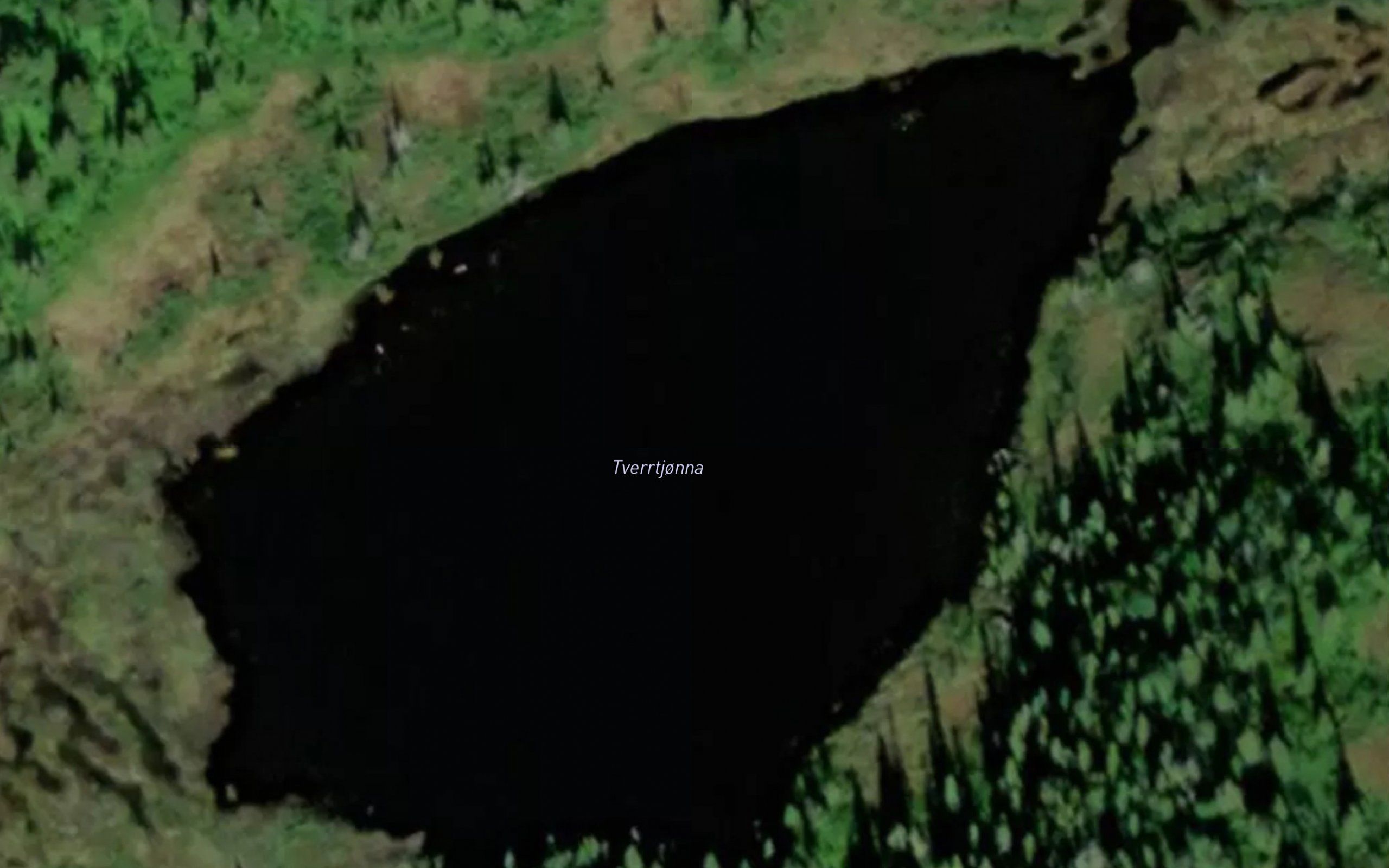 Tverrtjorna