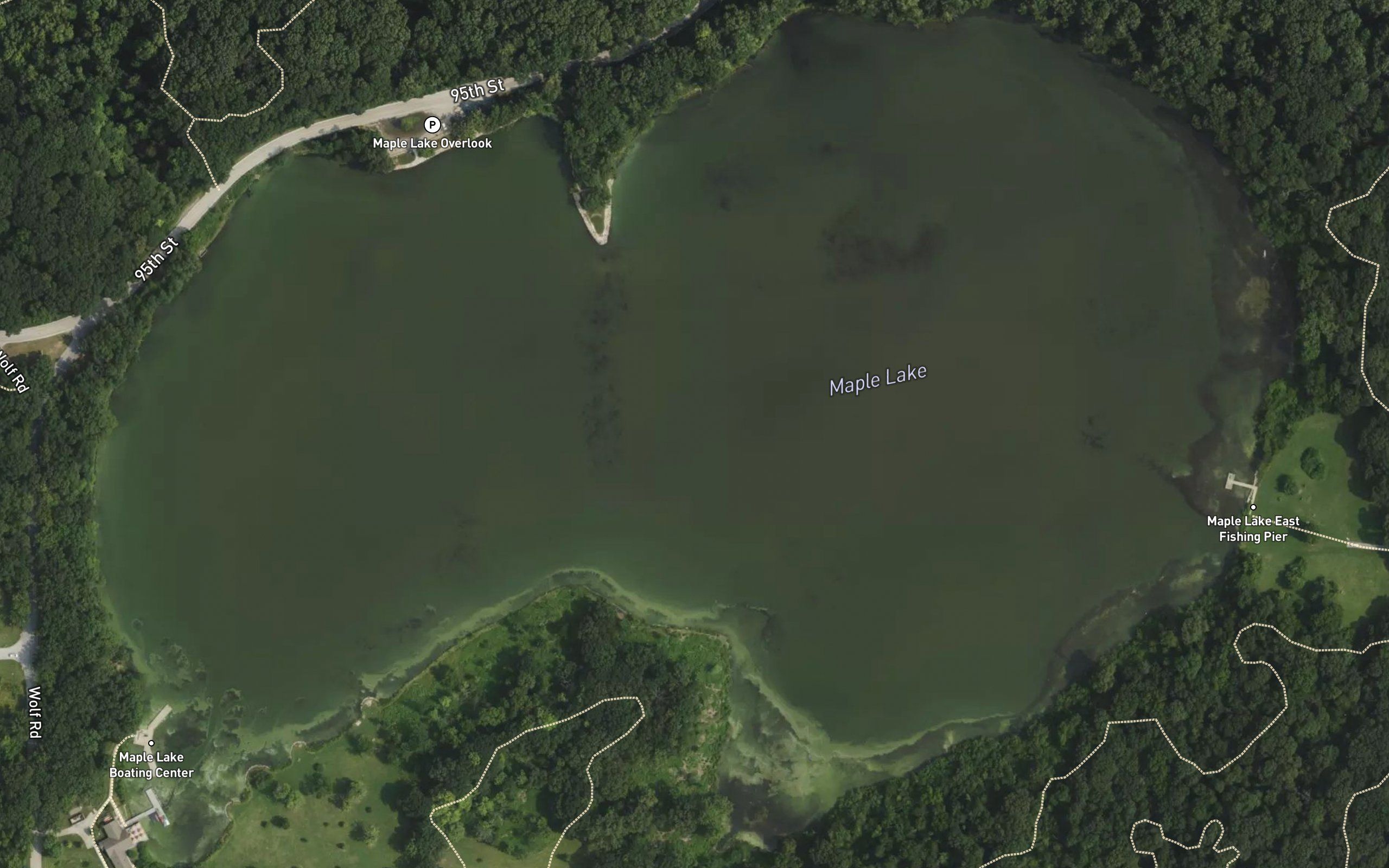 Maple Lake