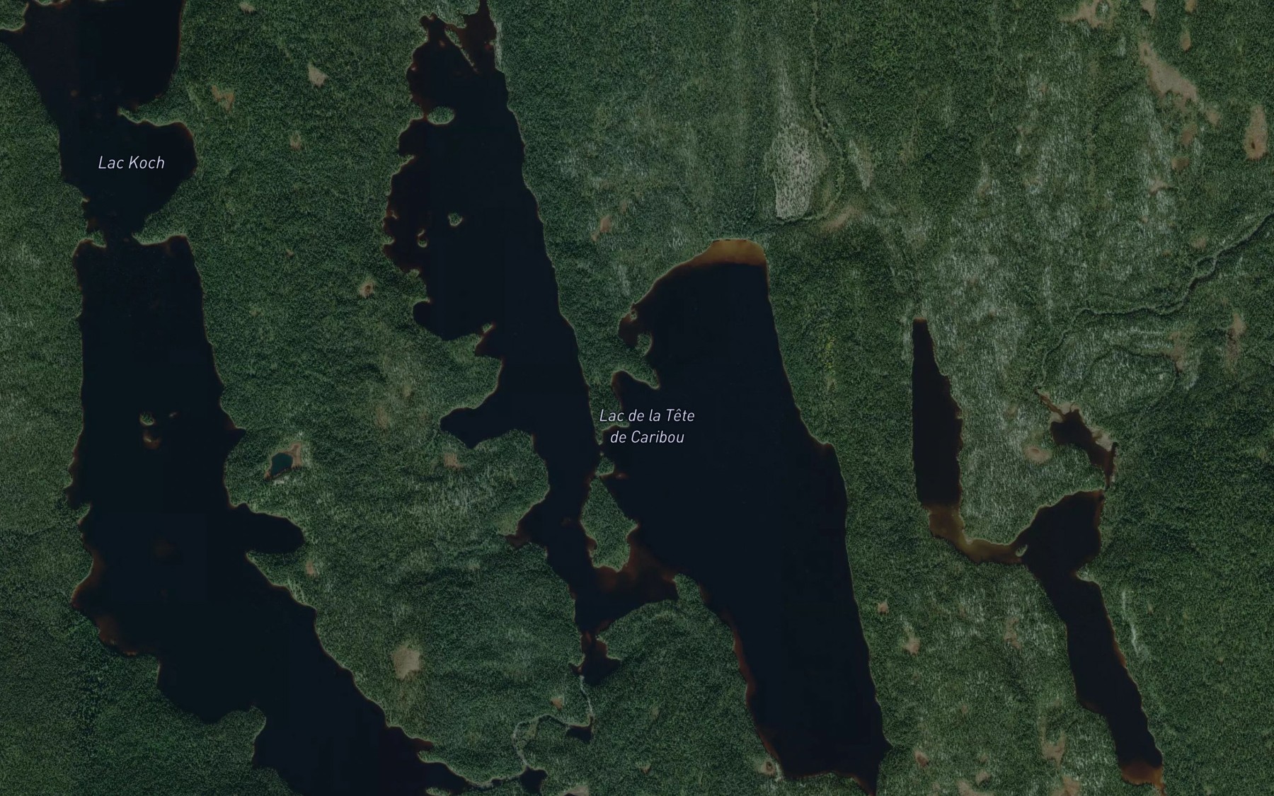 Satellite map of the Lac de la Tete de Caribou