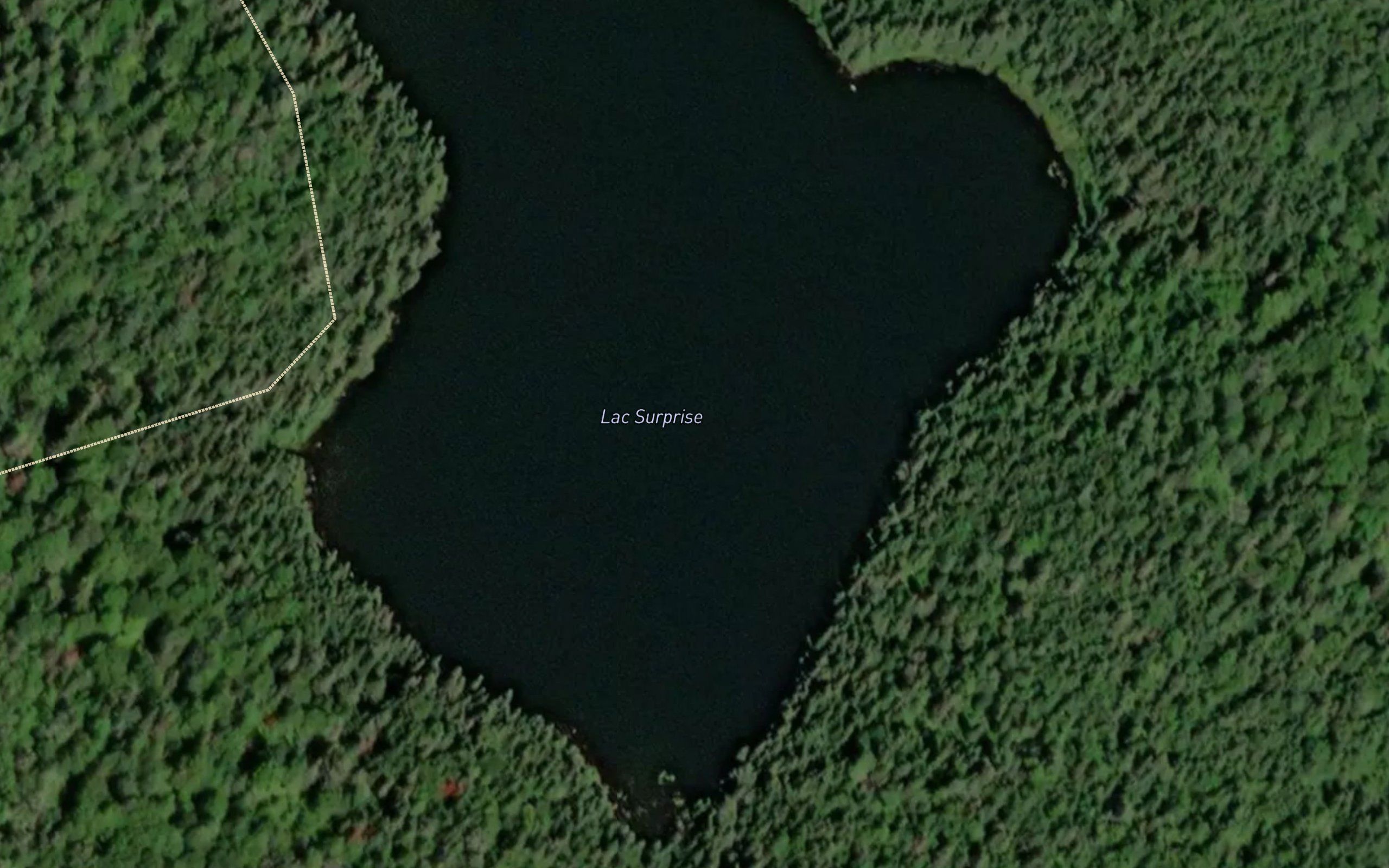 Lac Surprise