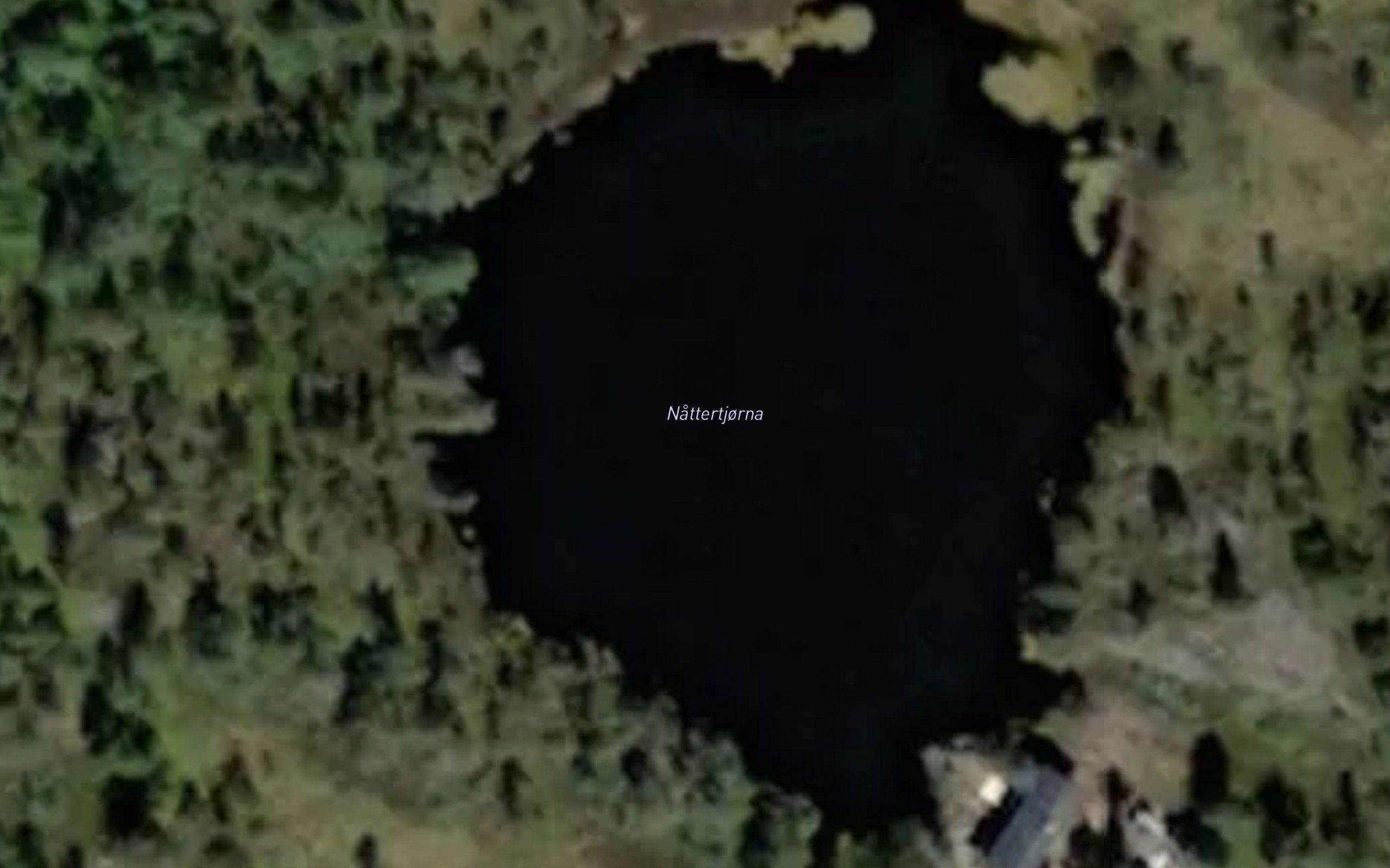 Nattetjonn