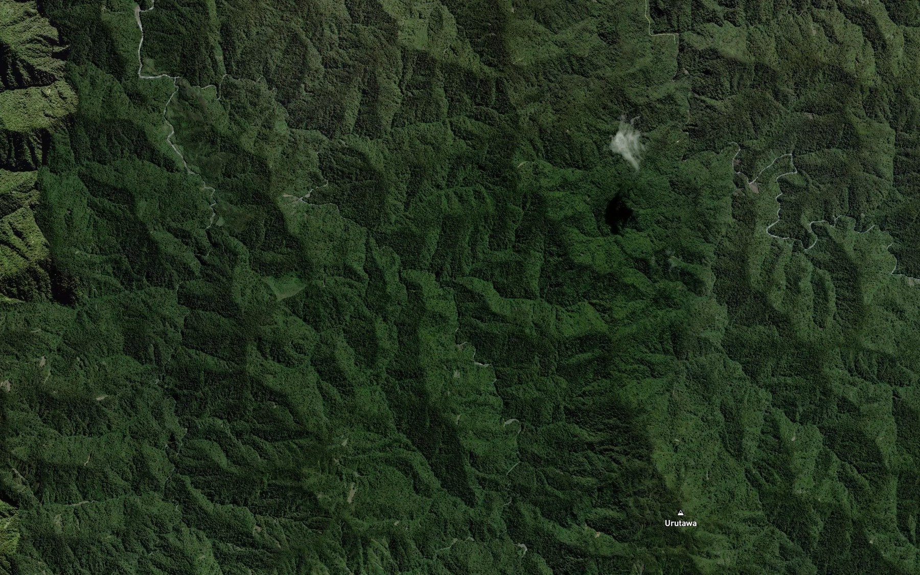 Satellite map of the Wahaatua Stream