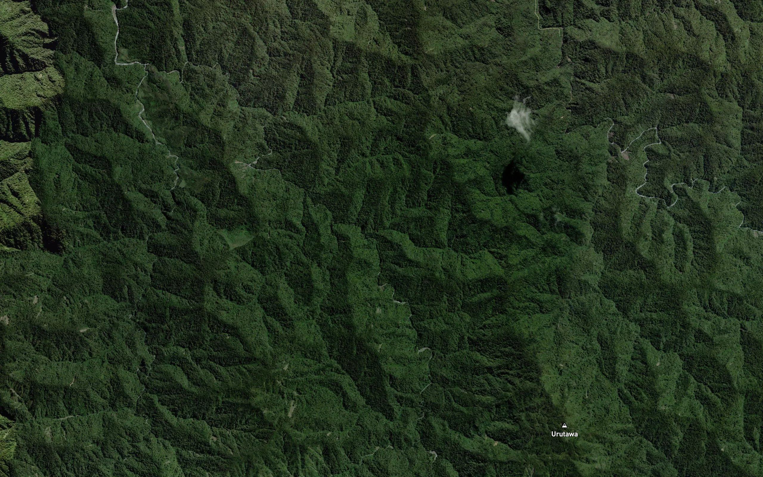 Wahaatua Stream