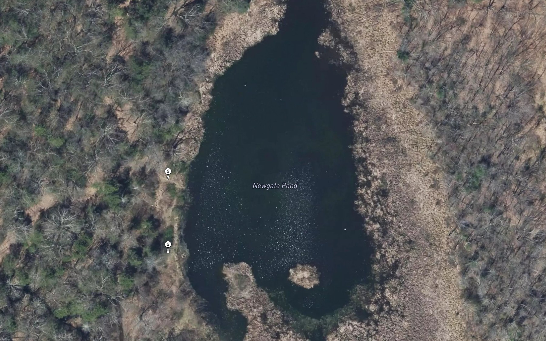 Satellite map of the Newgate Pond