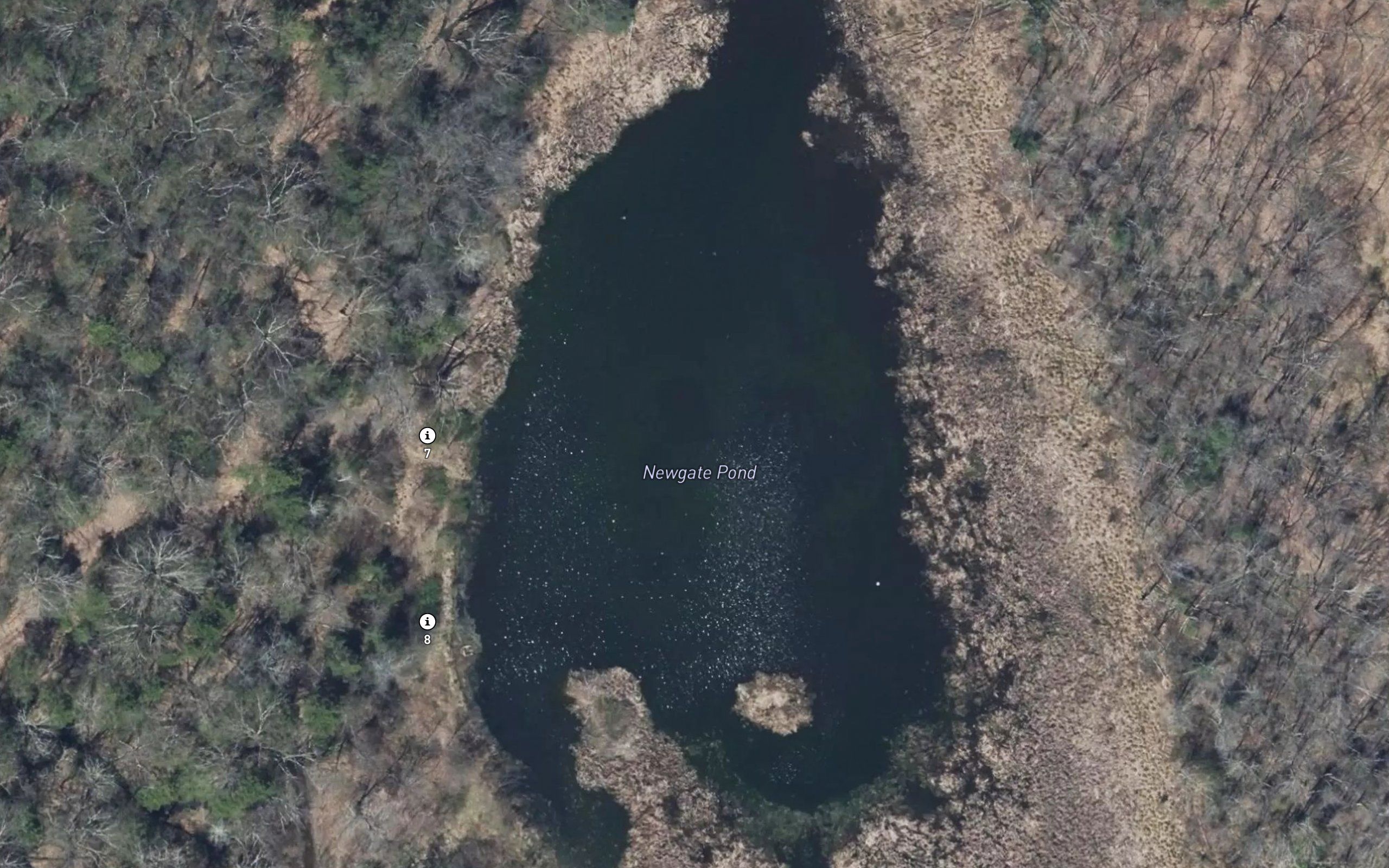 Newgate Pond