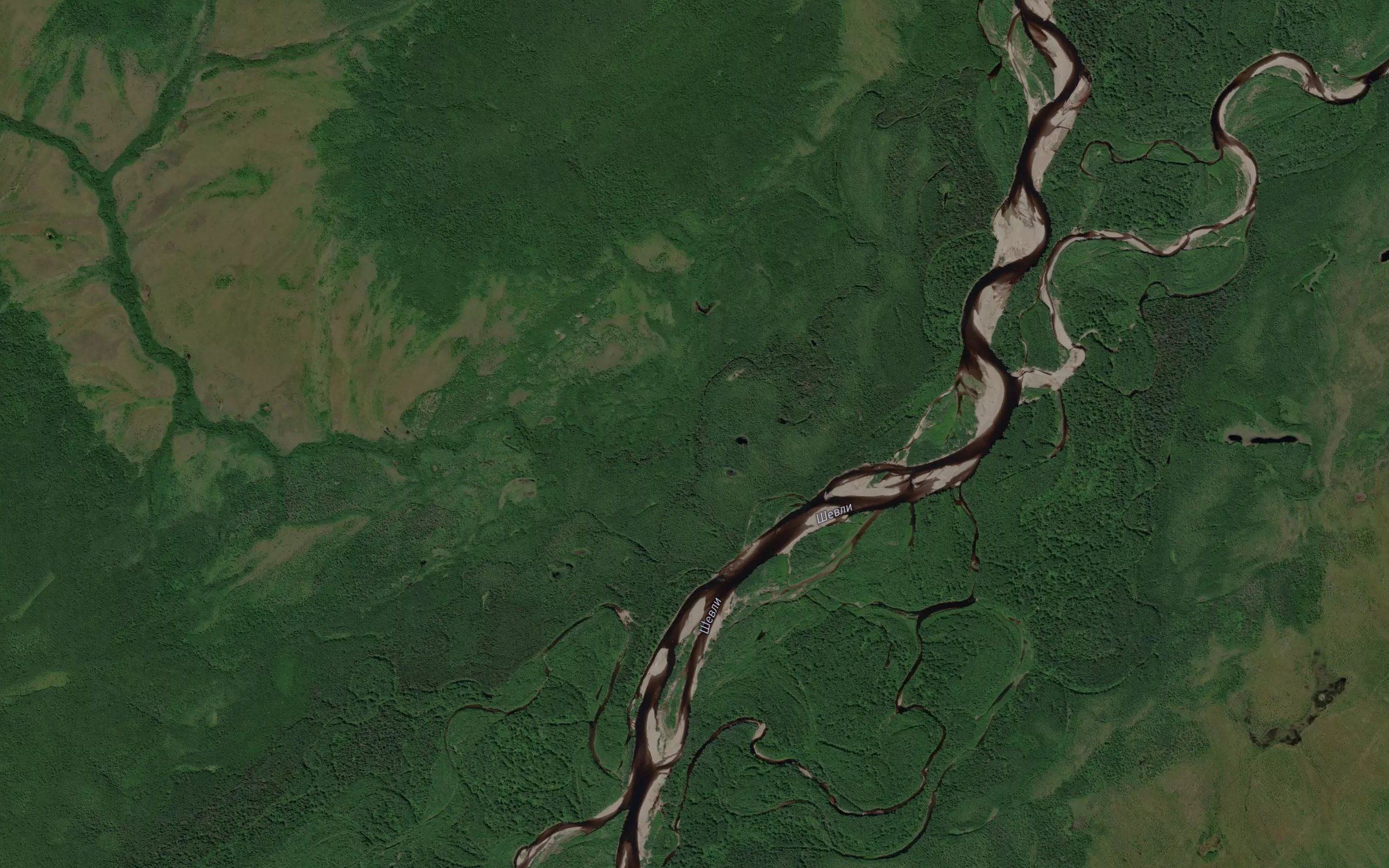 Ekalipchik